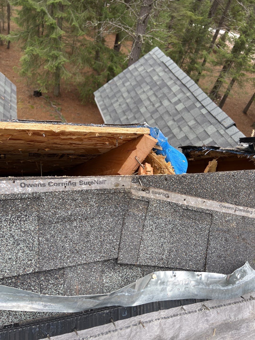 Green Snap Lock Standing Seam  by Montana Roofing Solutions