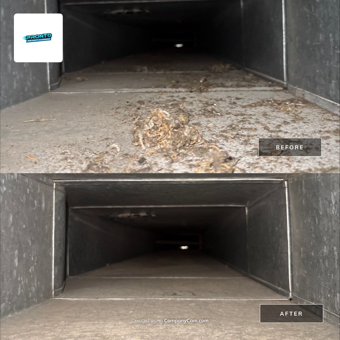 Air Duct Cleaning Montclair VA by Pronto Air Duct Cleaning