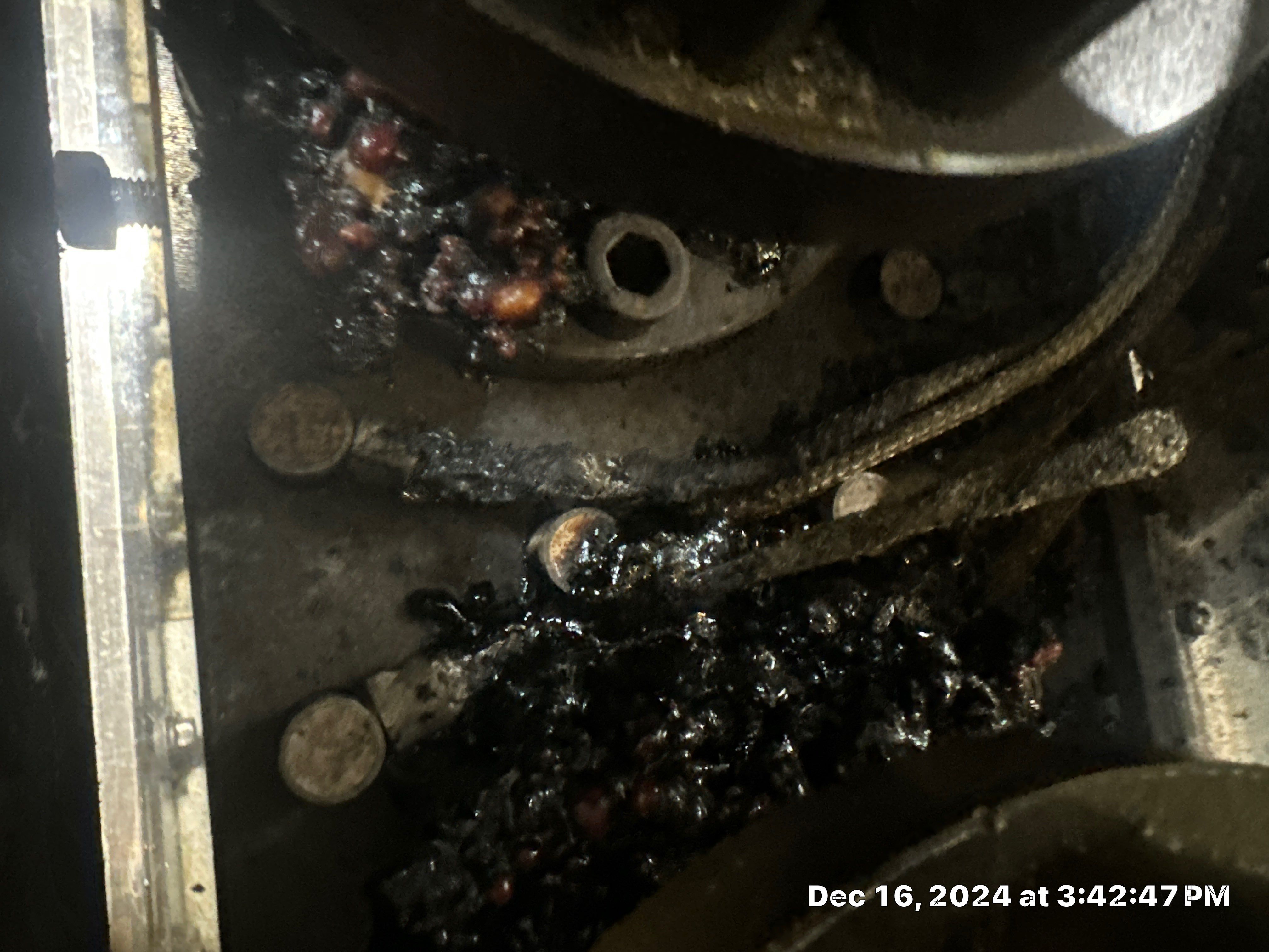 Project in Katy by Altium Packaging