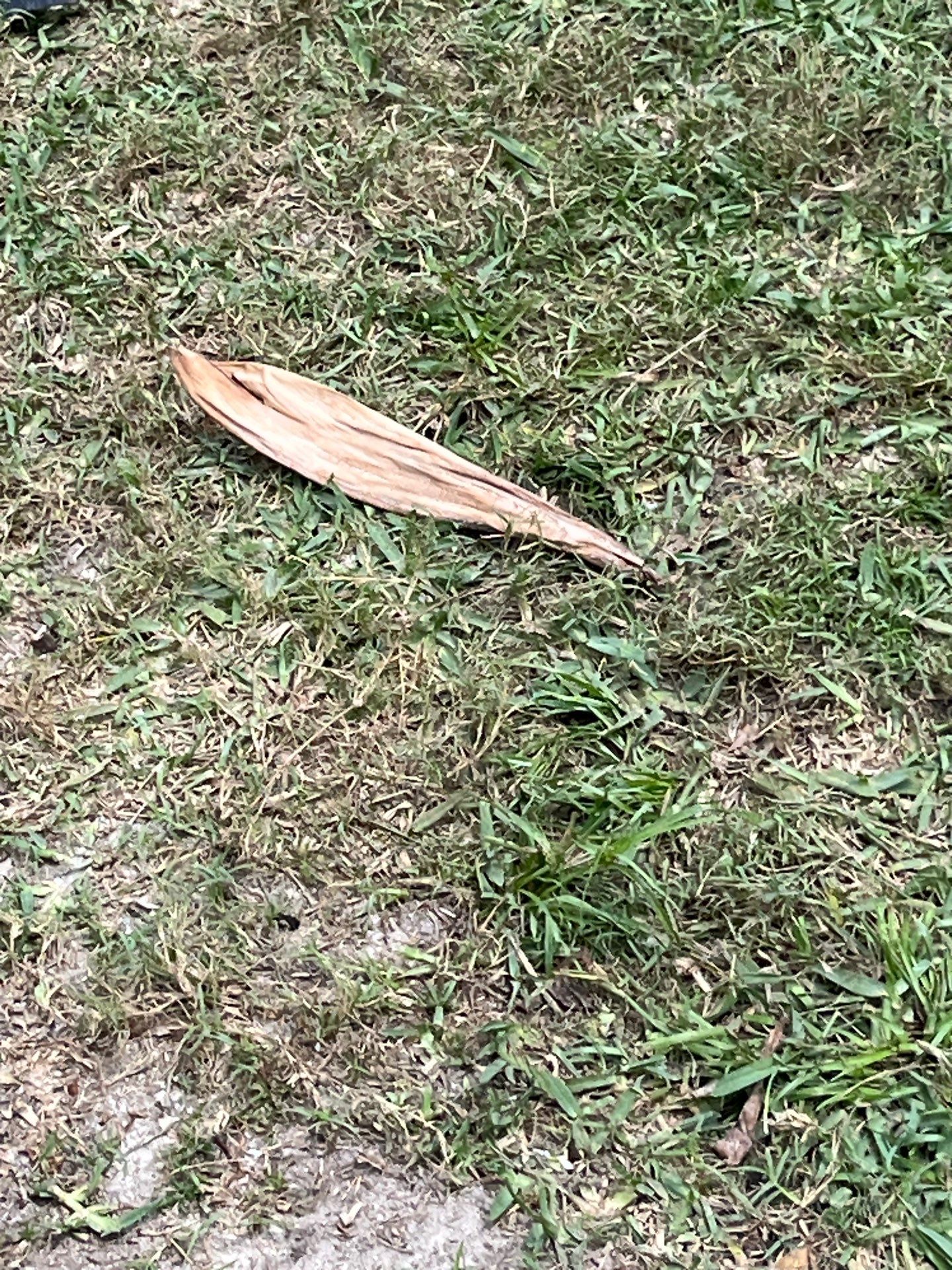 Project in St. Petersburg by Bayshore Exteriors