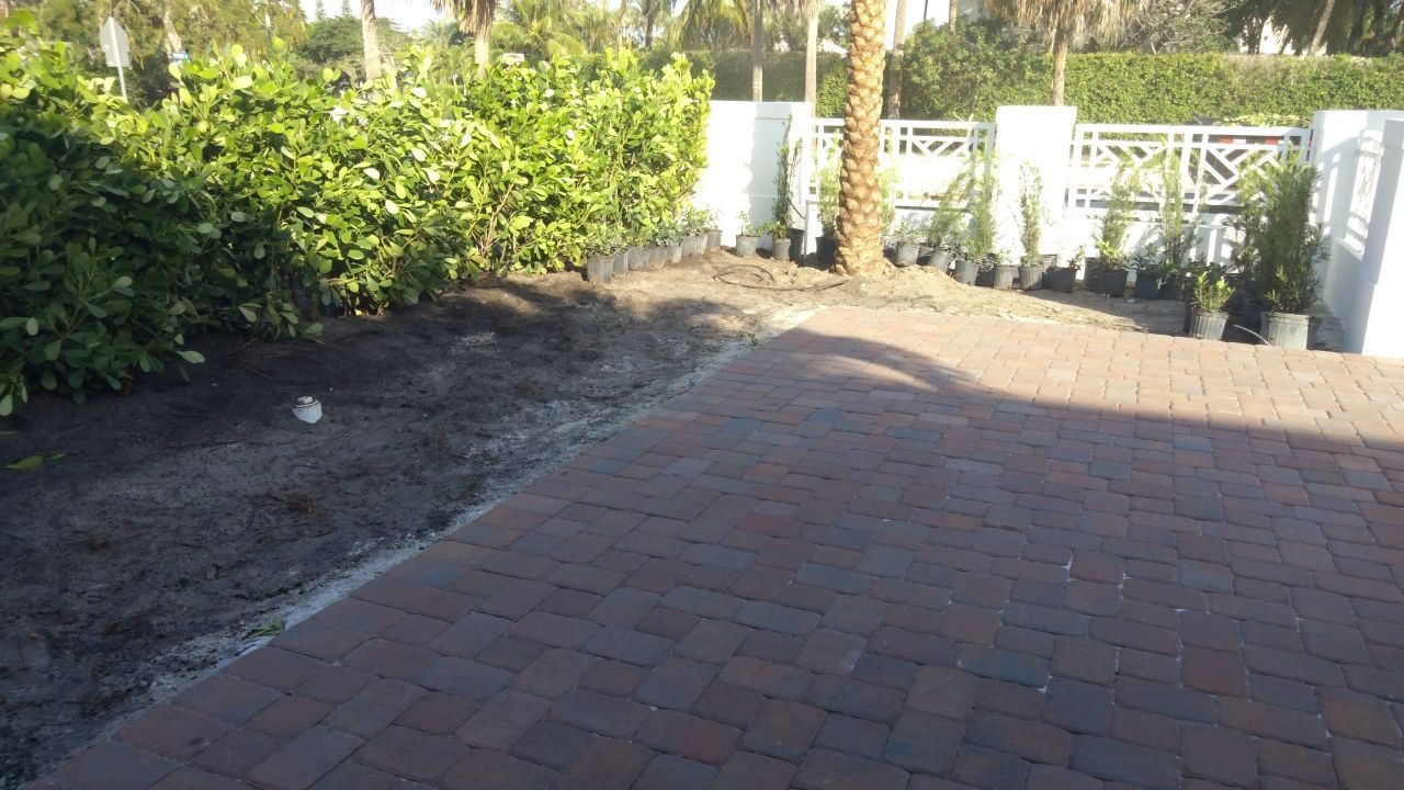 Hazard  by The Landscaping People