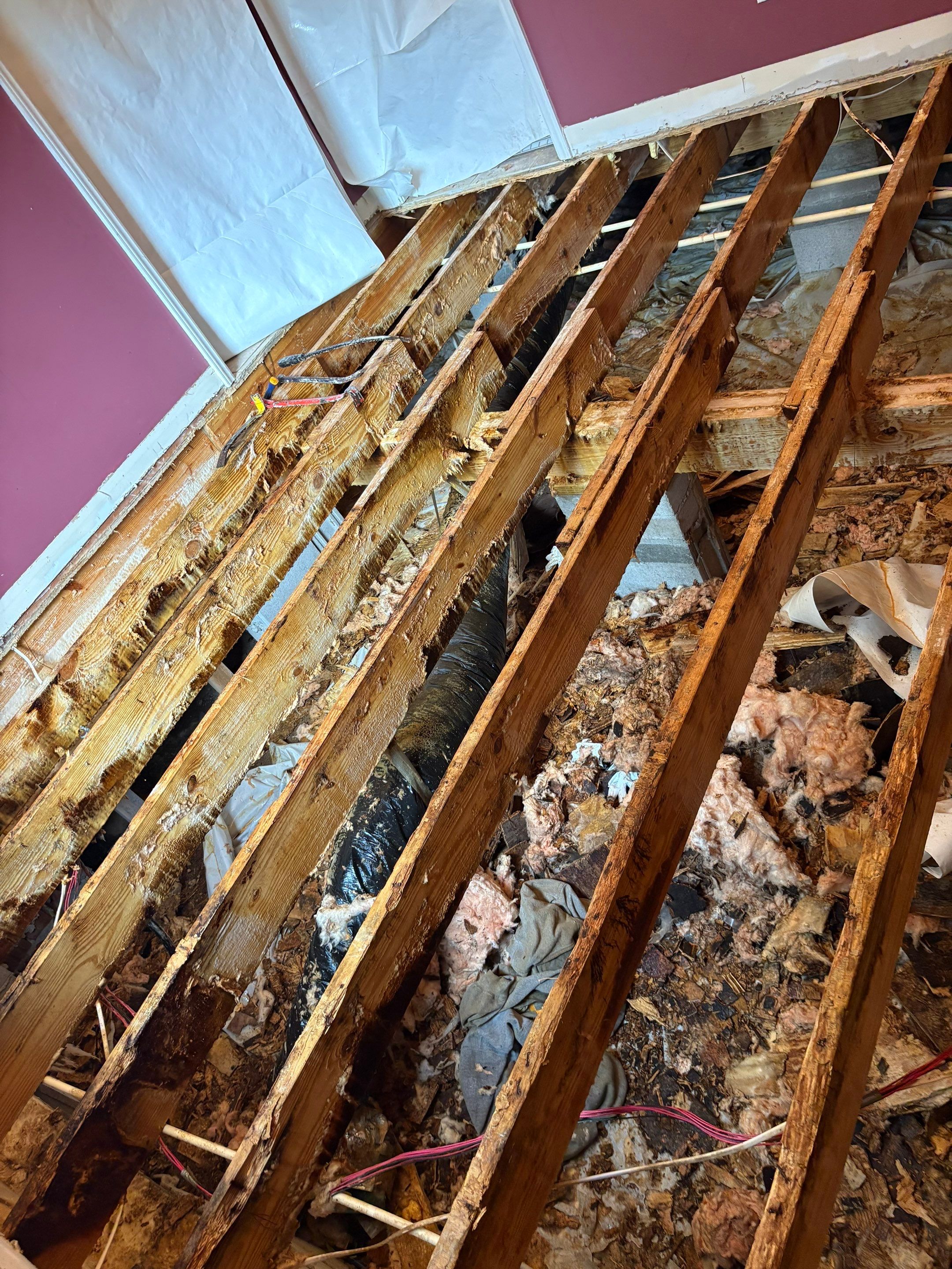 Moisture Barrier, Mold Clean, Structural Repair, Dehumidifier, R19 Insulation. by Impact Crawlspace