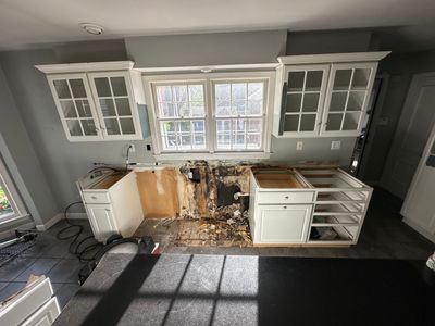 Mold Removal and Repairs in Louisville, KY