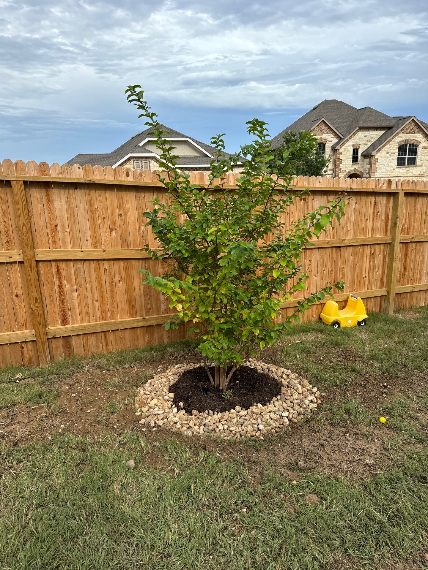 Indian Springs - San Antonio, TX by Hole In One Lawns, LLC