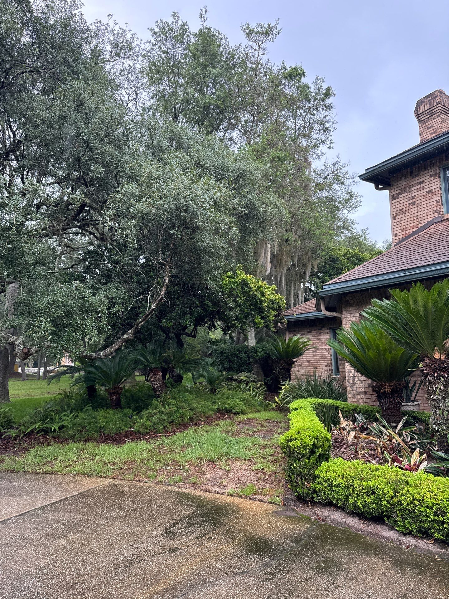 Deerwood Resident | Tree Removal & Trimming by ProGreen Services