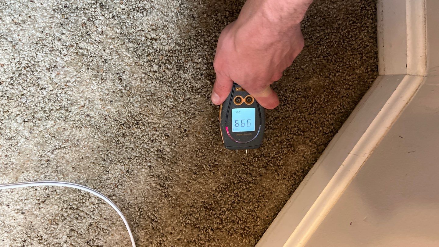 Repairs after Basement Water Damage by ANR Restoration