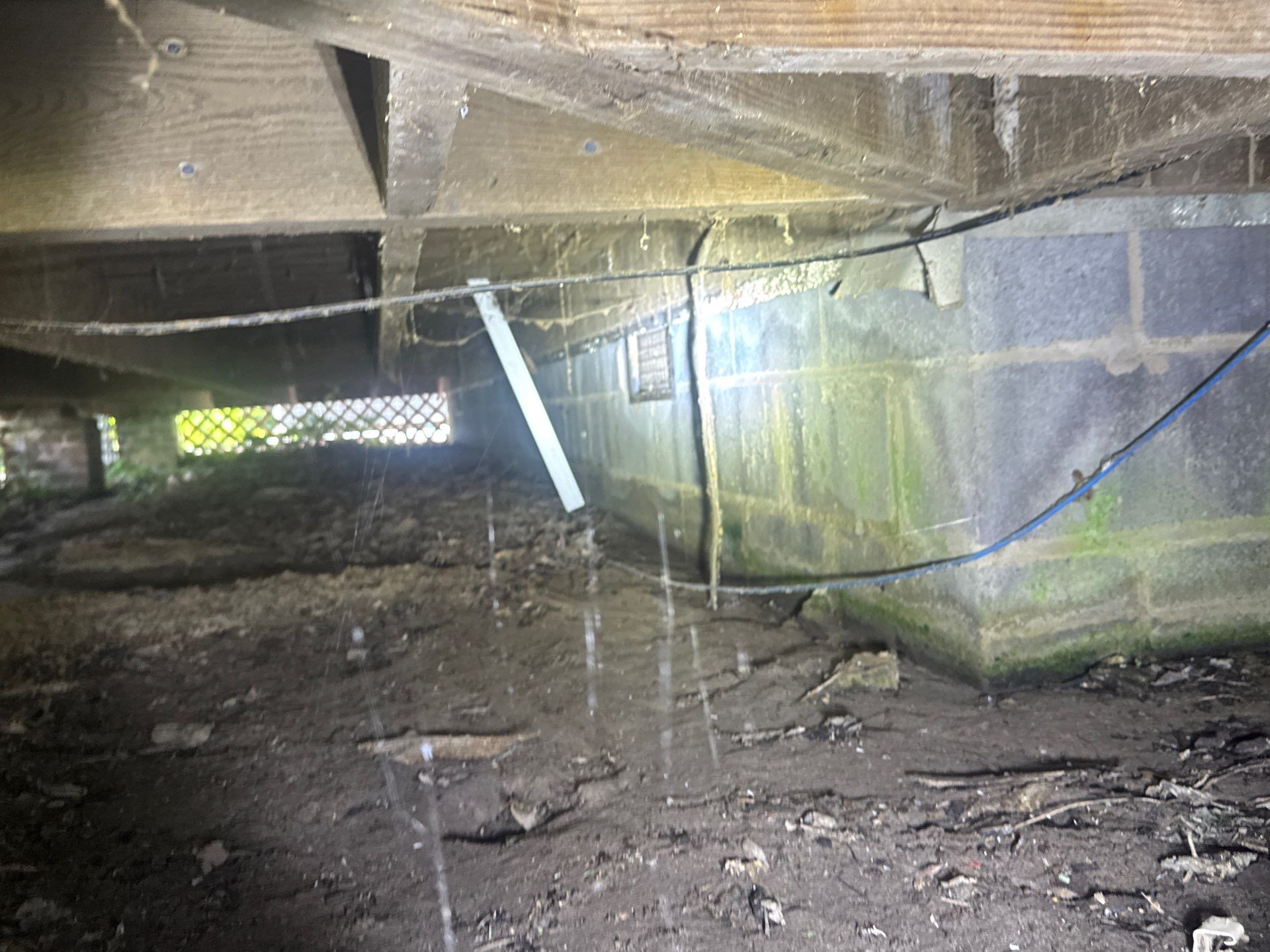 Project in Carrsville by Patriot Crawl Space Repairs