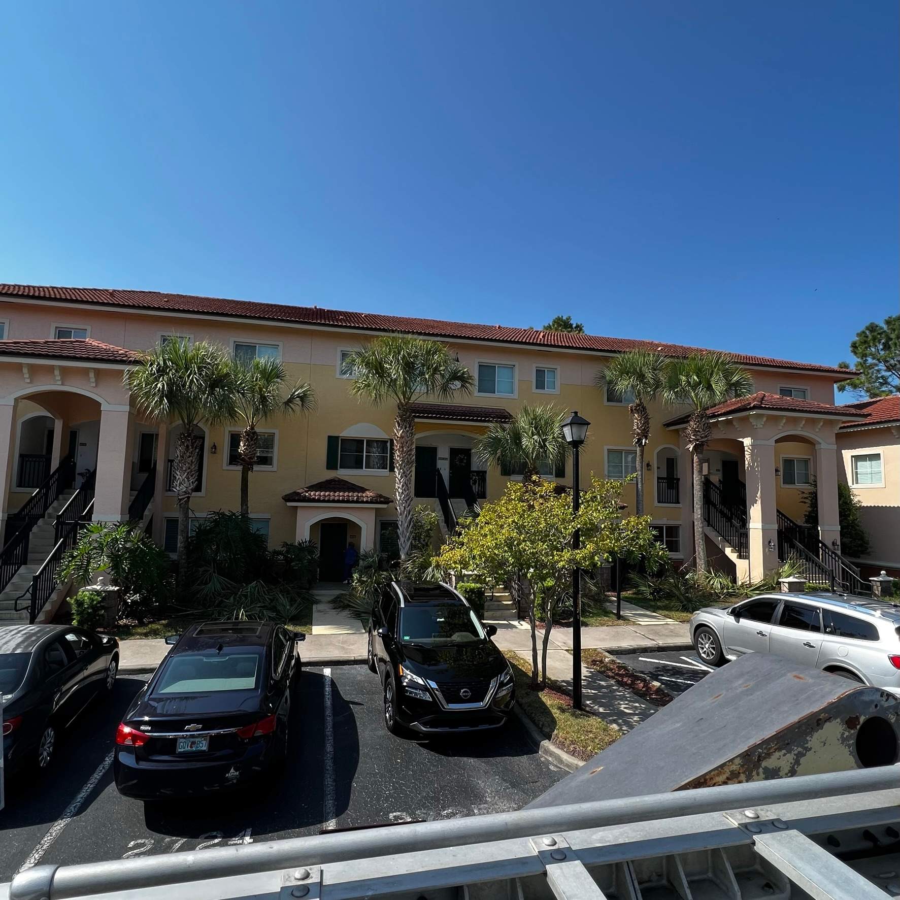 Palm Tree Trimming | IL Villagio Condominiums by ProGreen Services