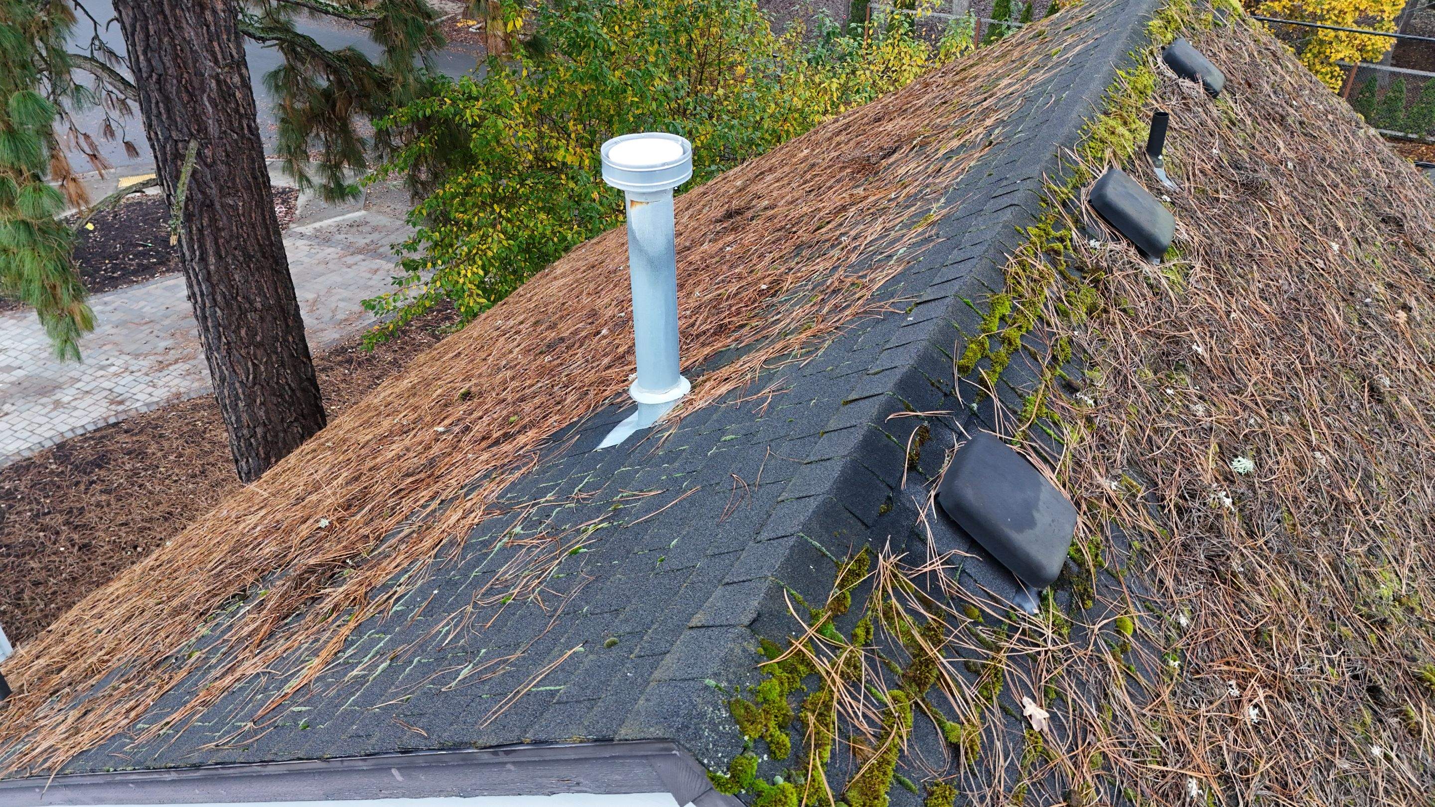 Severe Roof Maintenance in Beaverton by Prodigy Roof Solutions