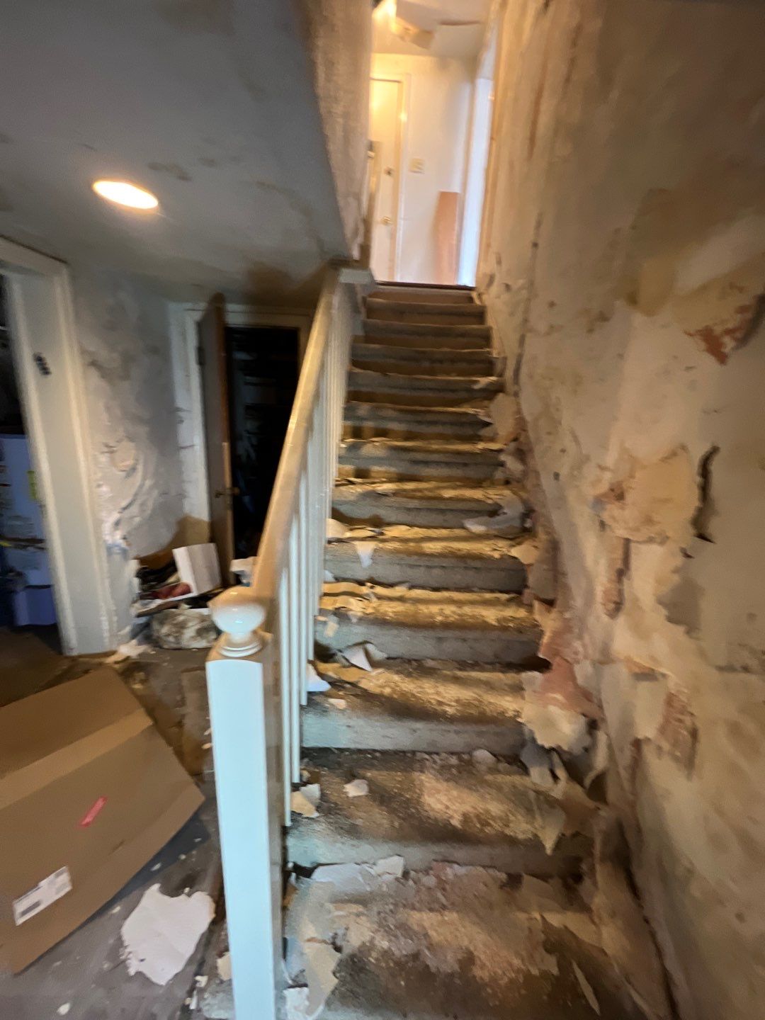 Mold Remediation by Accountable Home Services