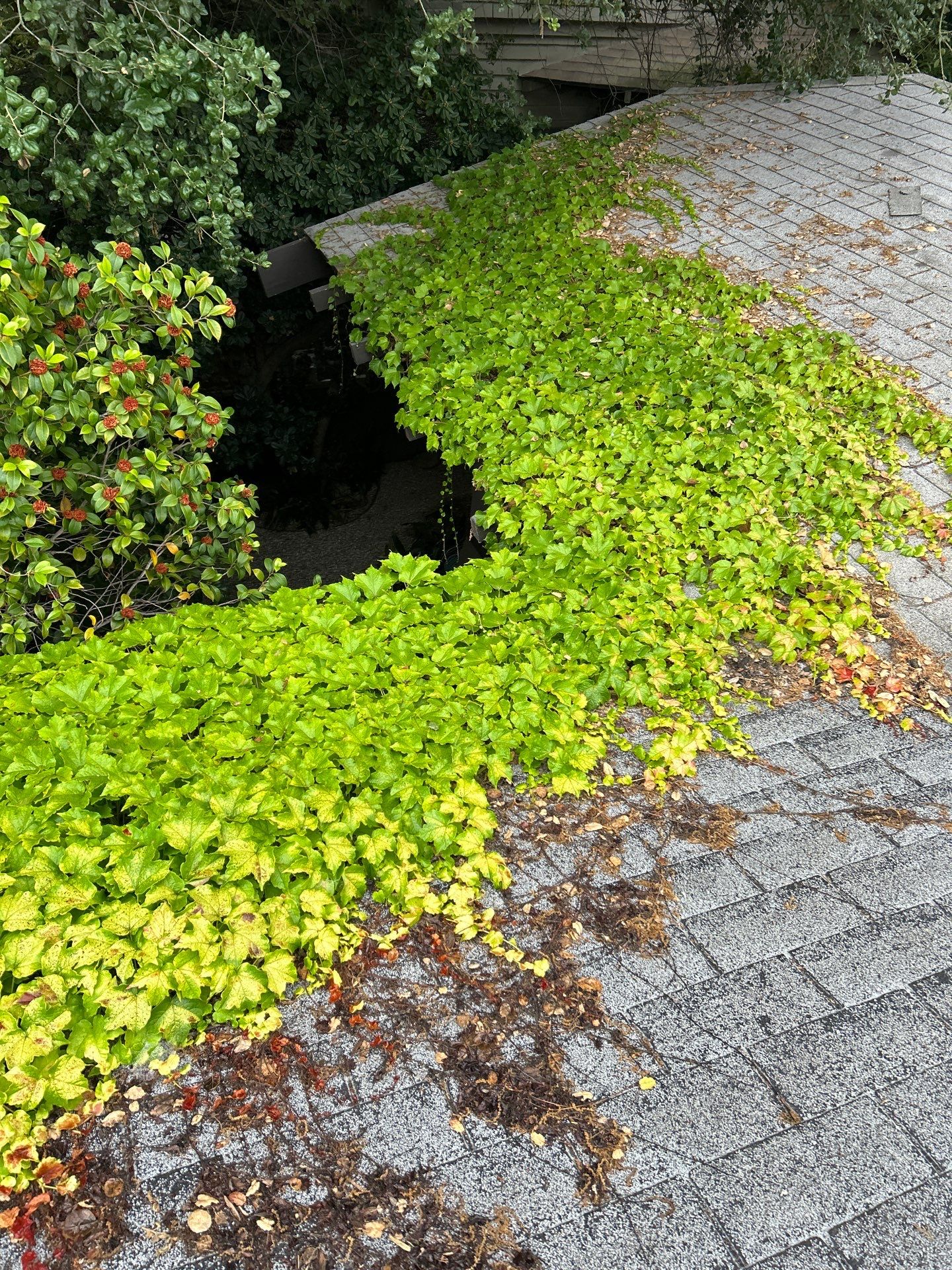 Residential Reroof Project: Composition Shingles by Hull Brothers Roofing