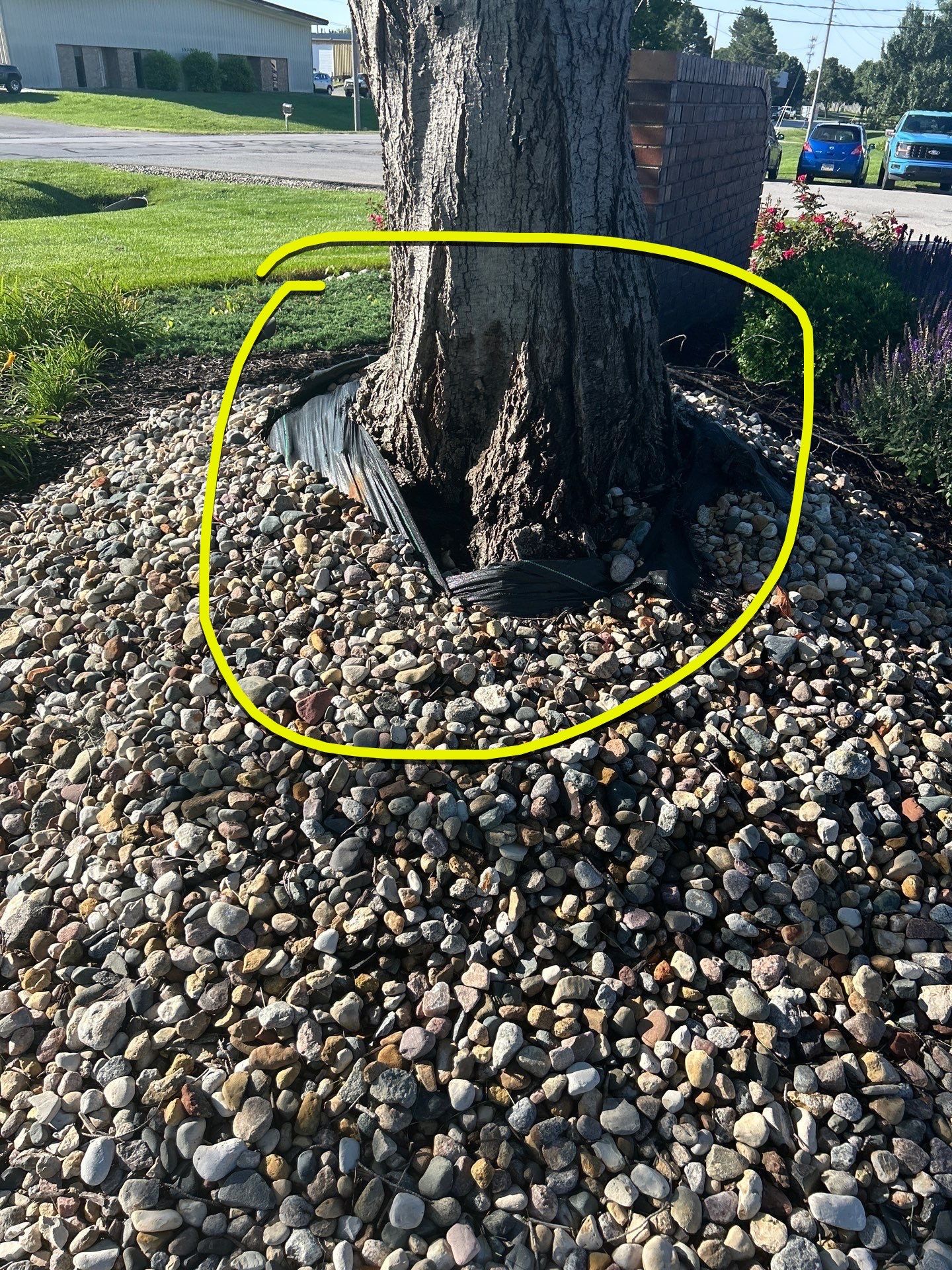 Custom Lawn QC visit  by Custom Lawn And Landscape