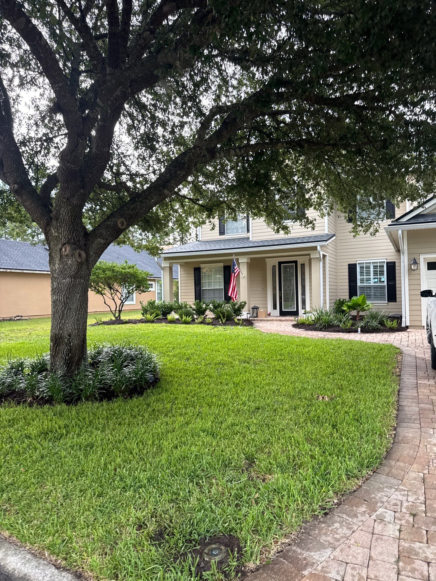 Residential | Sod Installation & Tree Trimming by ProGreen Services