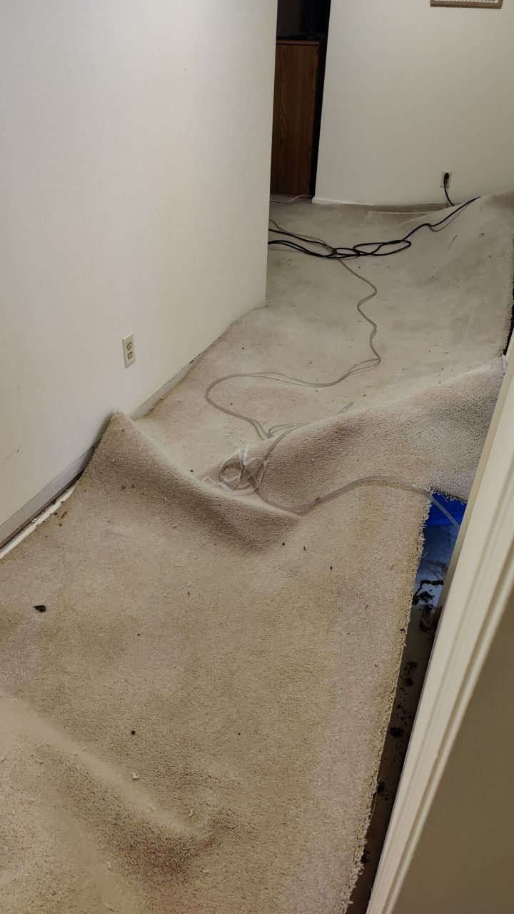 Water Damage by Accountable Home Services