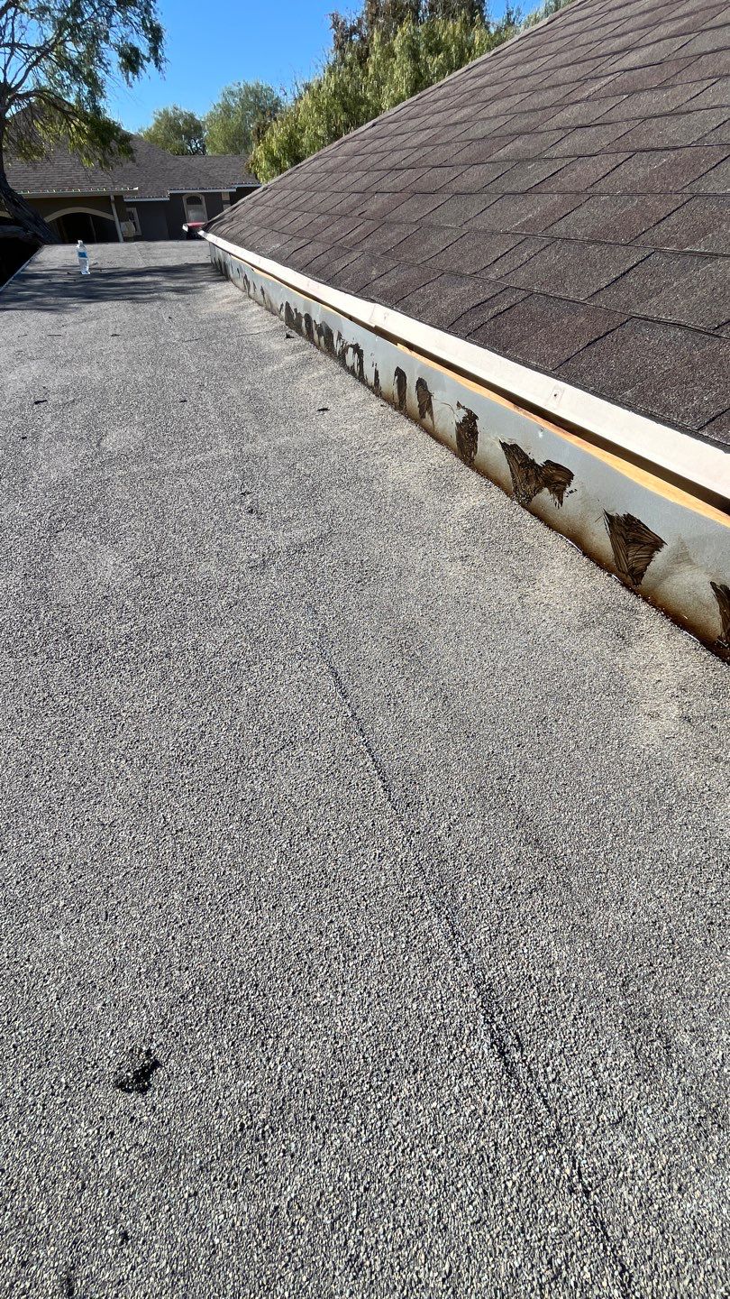 It Ain't Easy getting Shady  by Bayfront Roofing and Construction