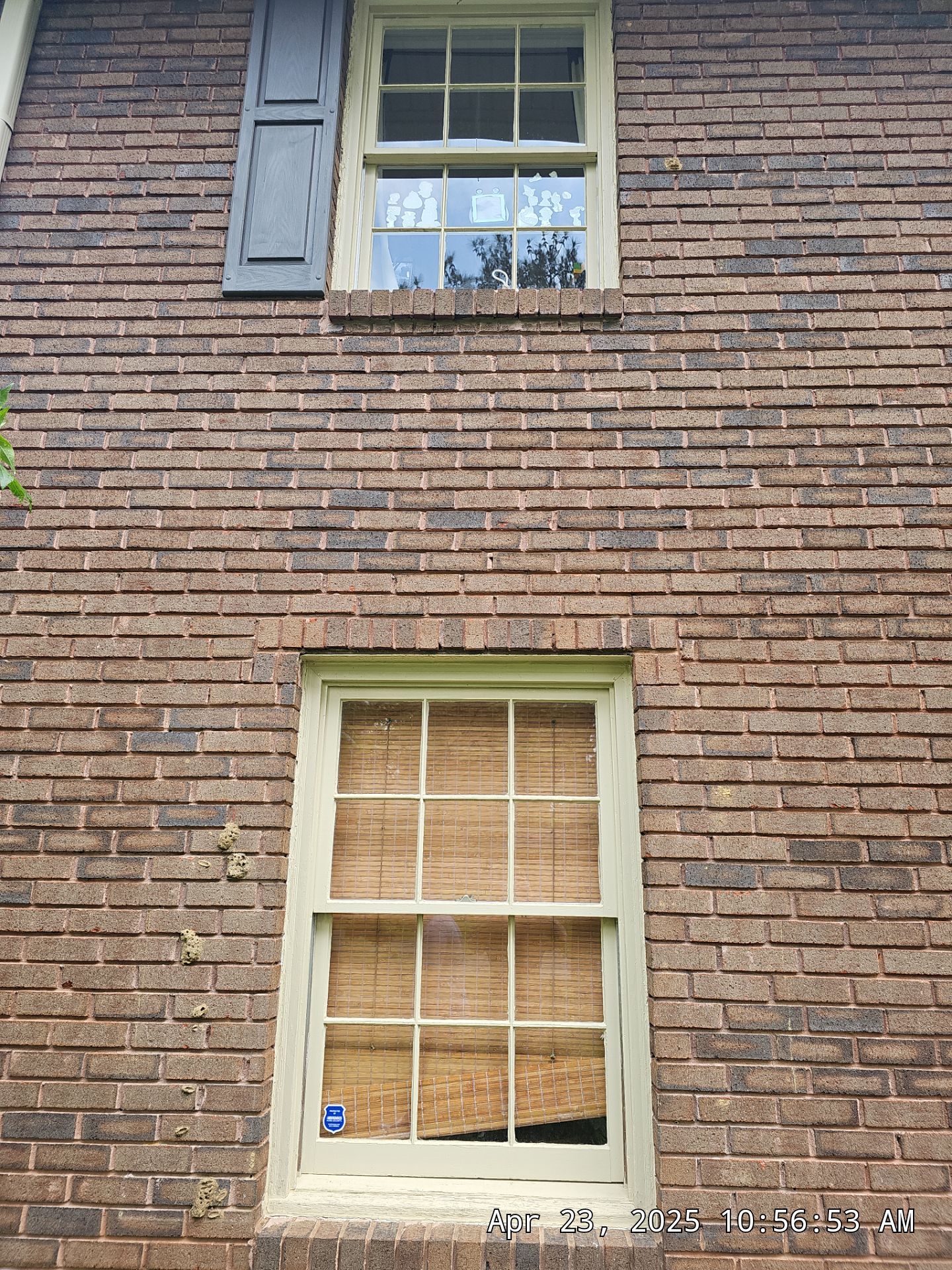 Pantanzis Project in Birmingham by The Window Source