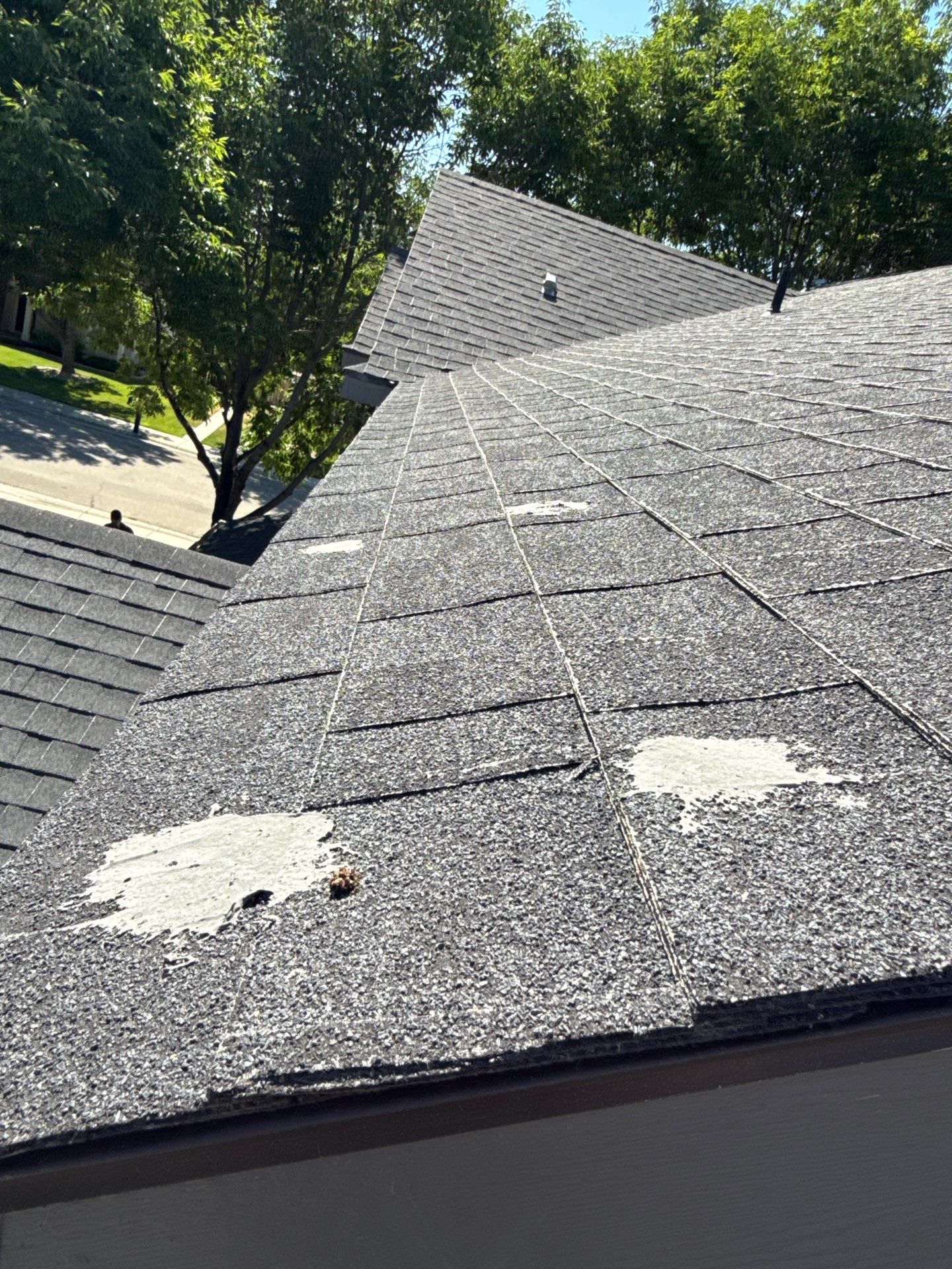 Residential Roof Replacement and Sheathing Repair in Boise by Olive Roofing