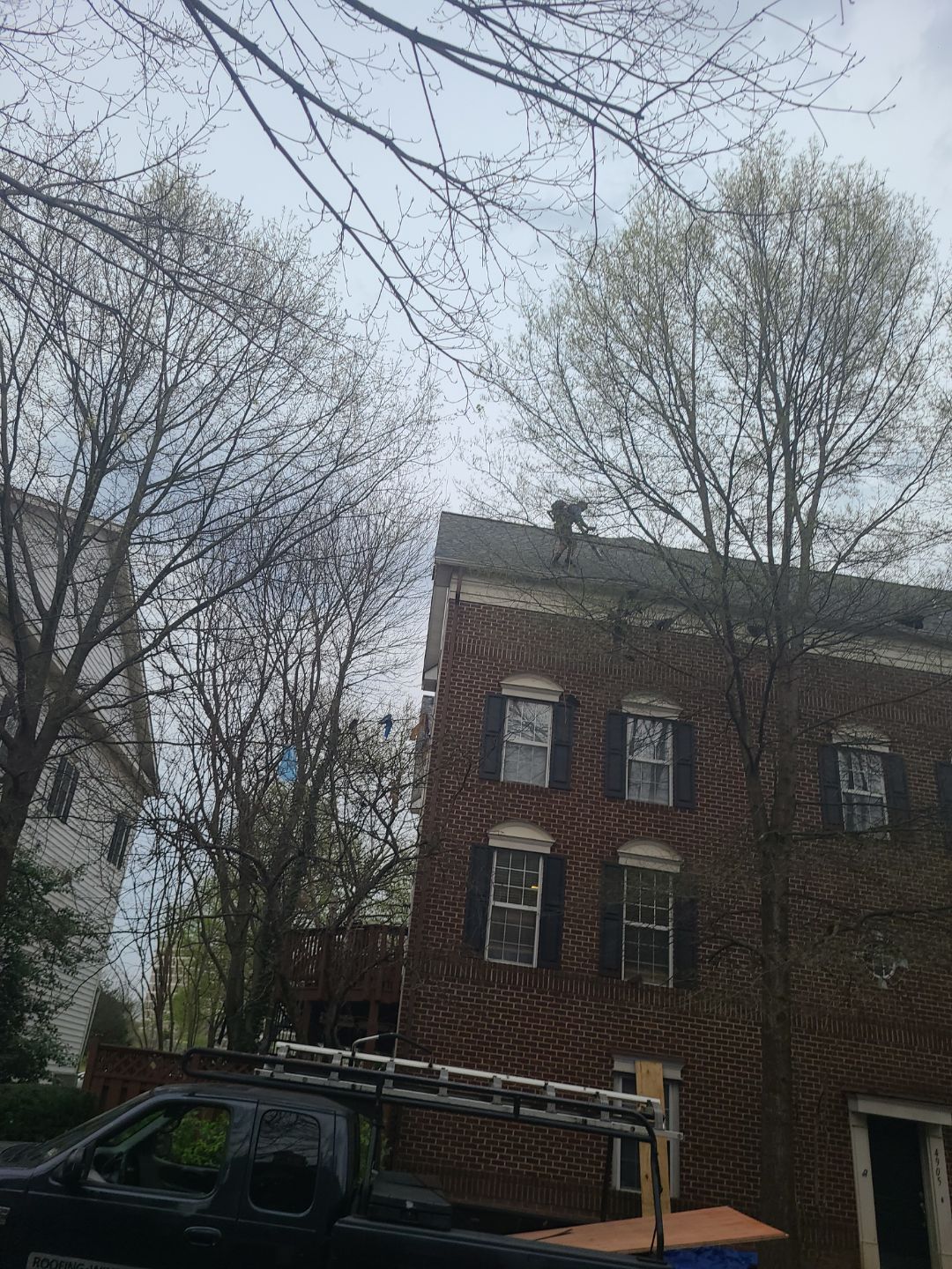 Alexandria: CertainTeed Landmark Pro Designer Shingles in Max Def Georgetown Gray by RM Banning, Inc.