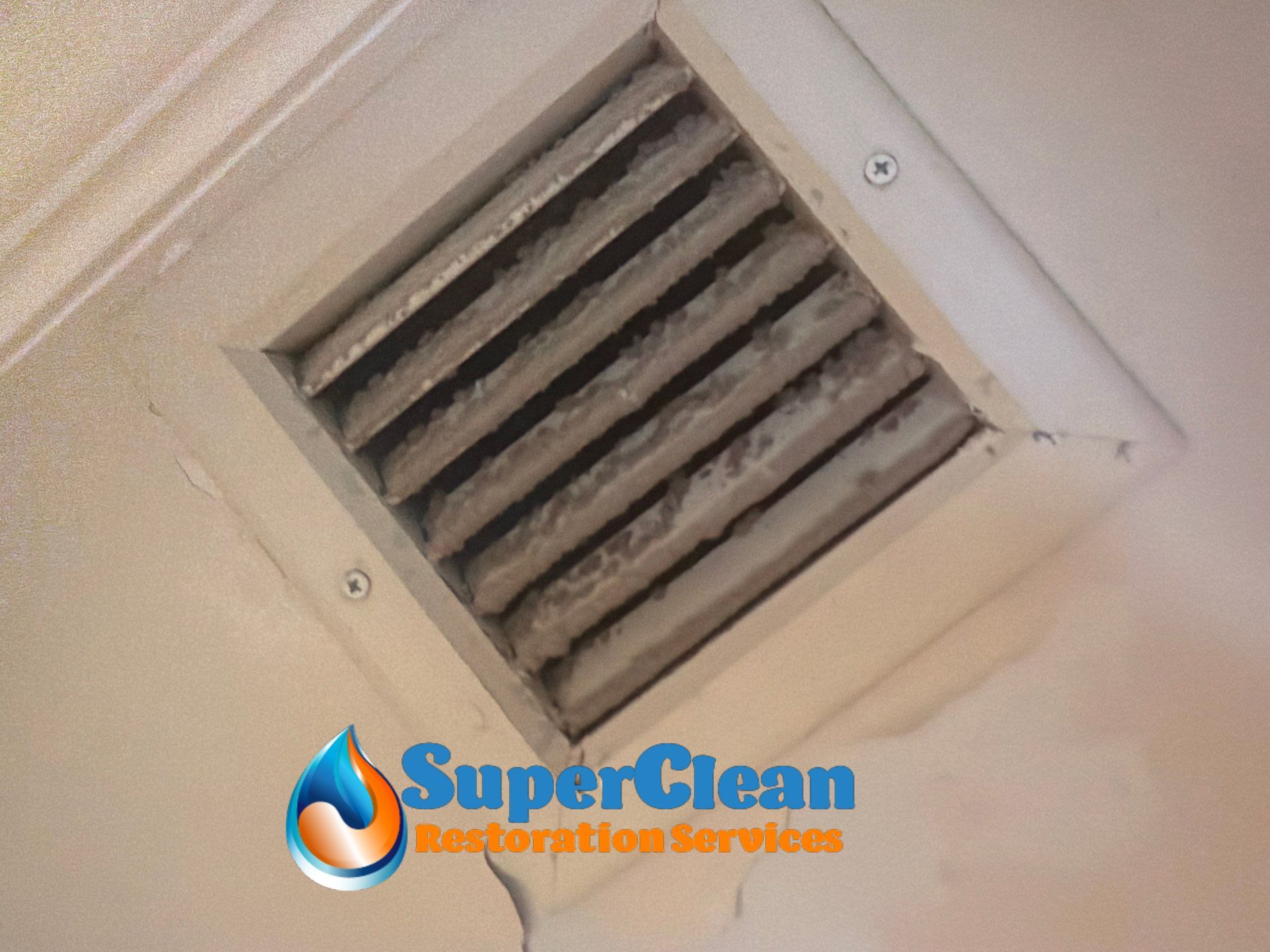 Residential Mold Remediation and Interior Moisture Damage Assessment in Palm Beach by SuperClean