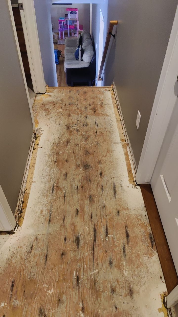 Water Damage  by Accountable Home Services