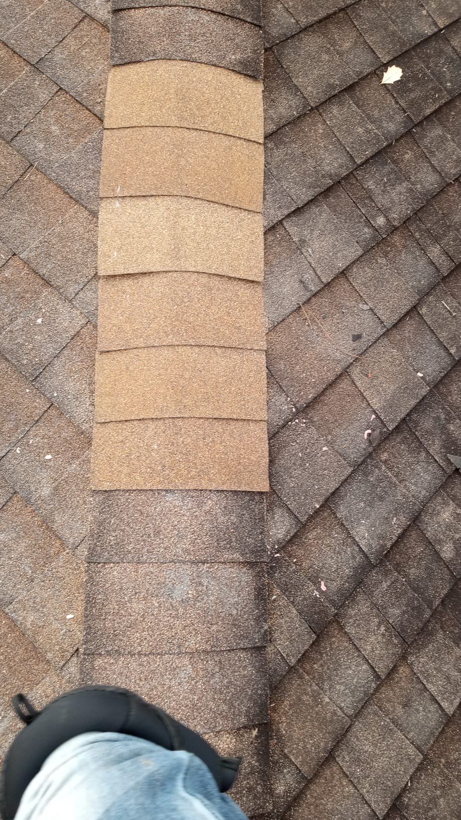 Roof Repair La Porte by Roof Repair Services LLC