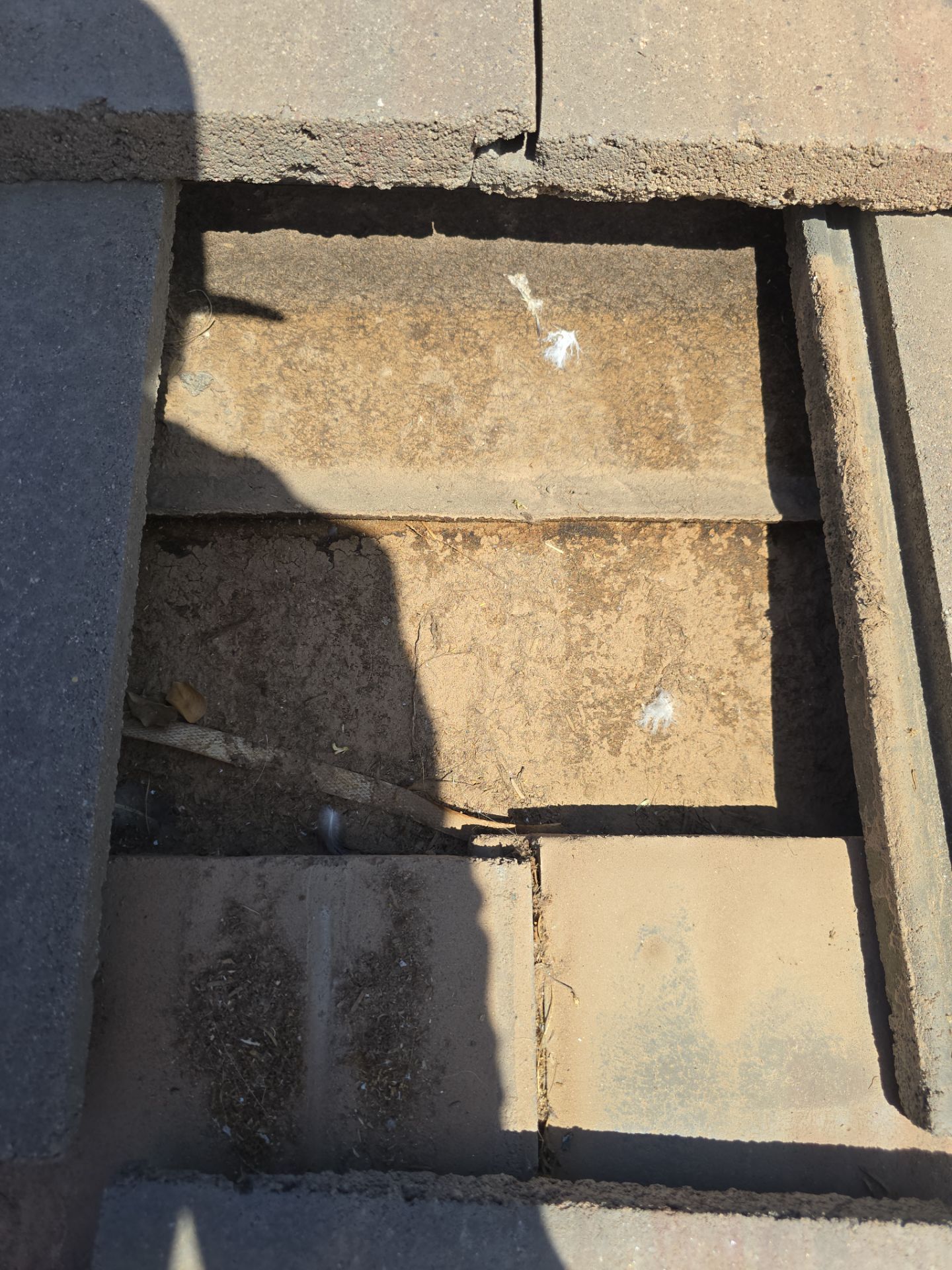 Project in Phoenix, AZ by Showtime Roofing & Coatings LLC