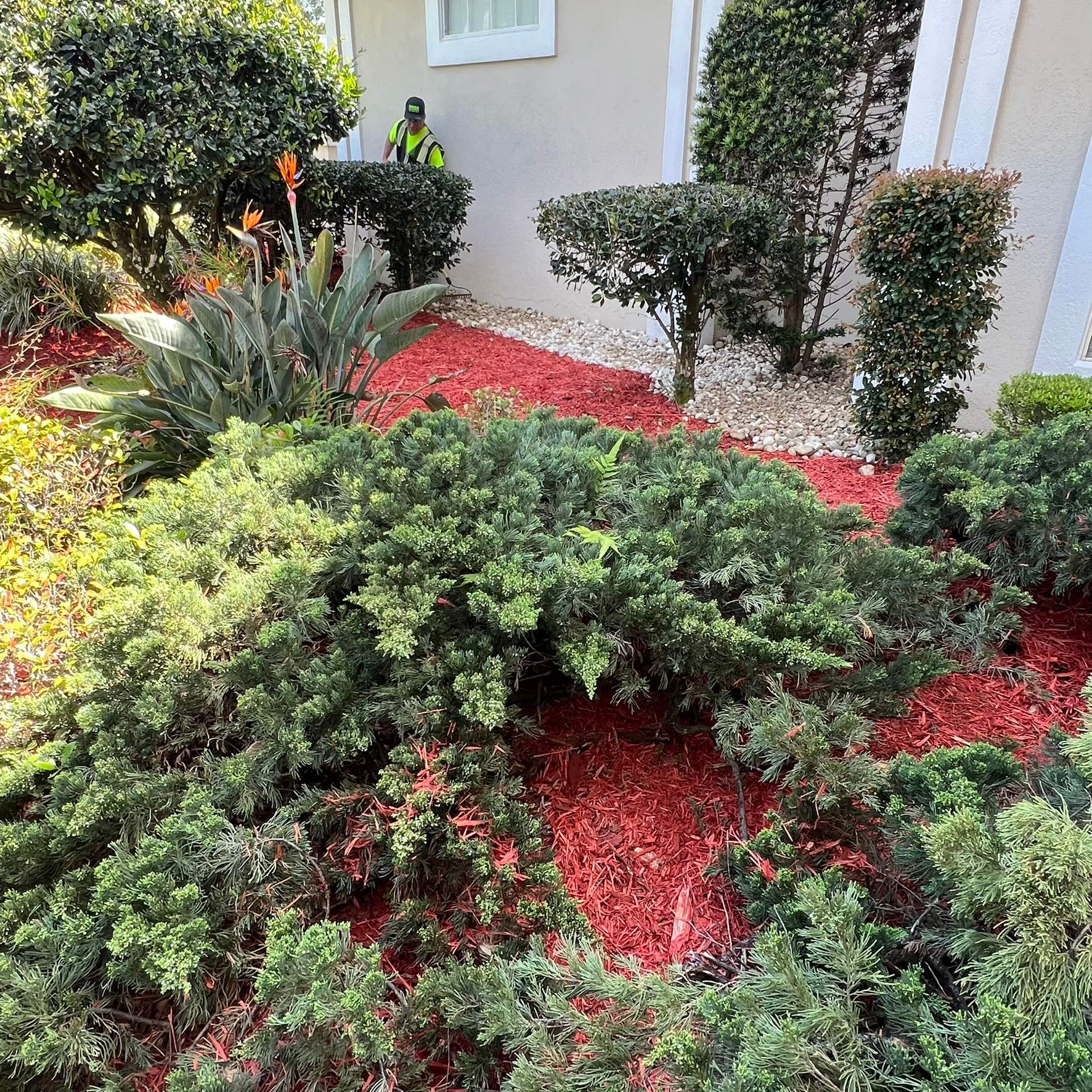 Mulch Installation | Deerwood Country Club by ProGreen Services