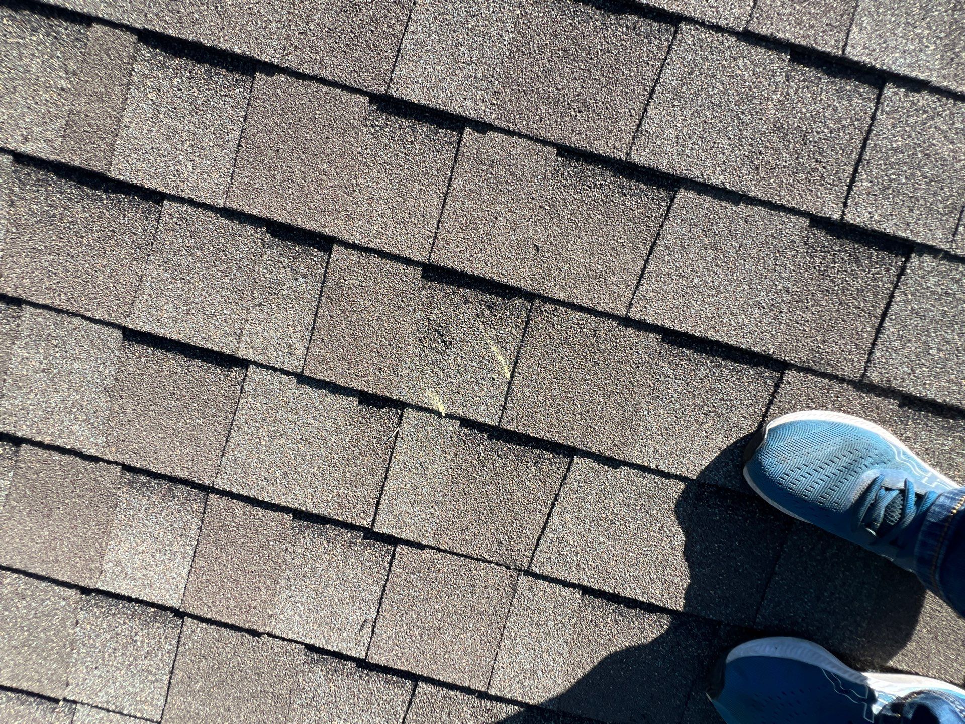 JOSH V by Boss Hogg Roofing