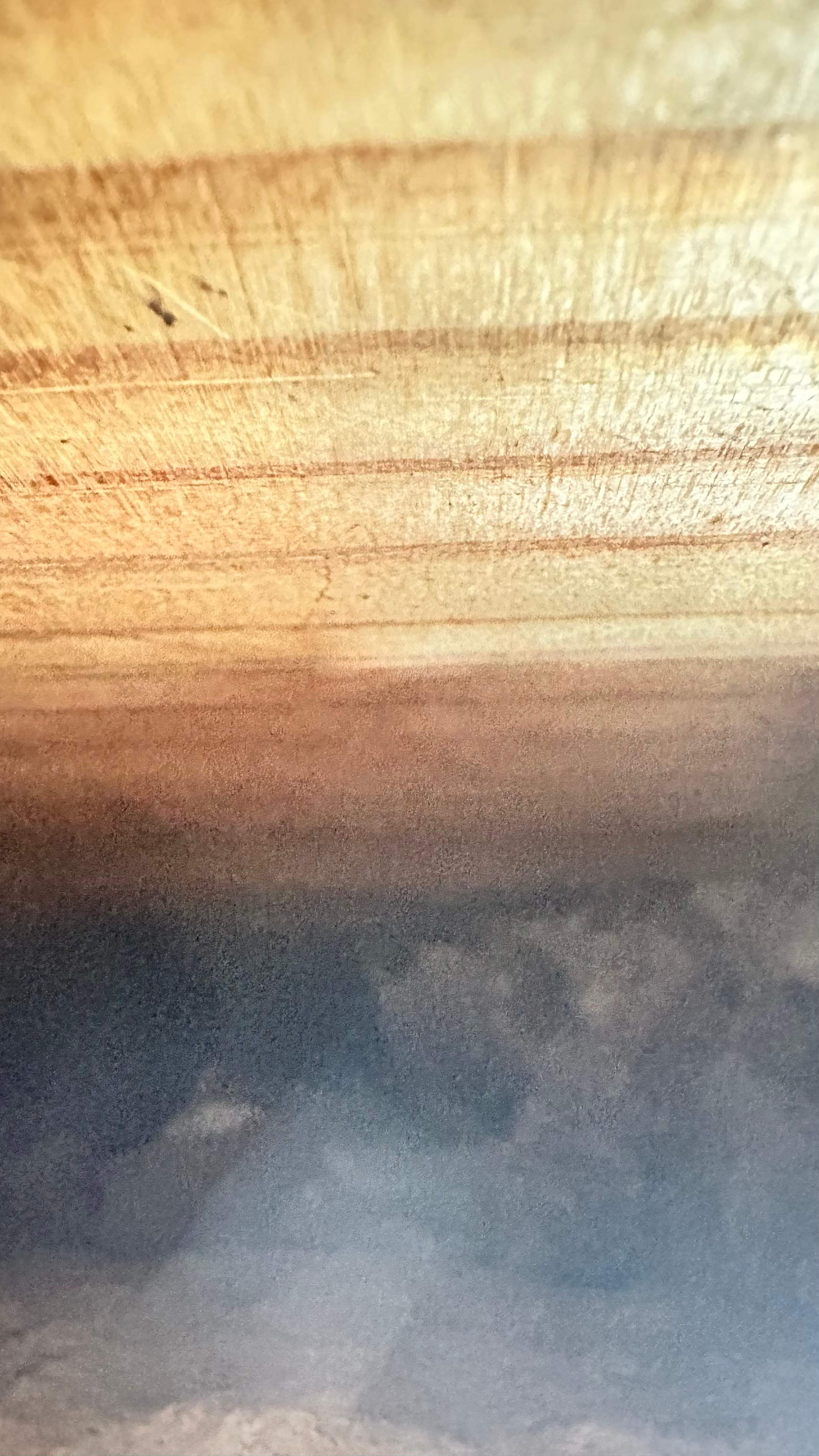 Unsealed Attic by Rockwall Honey Bee Company