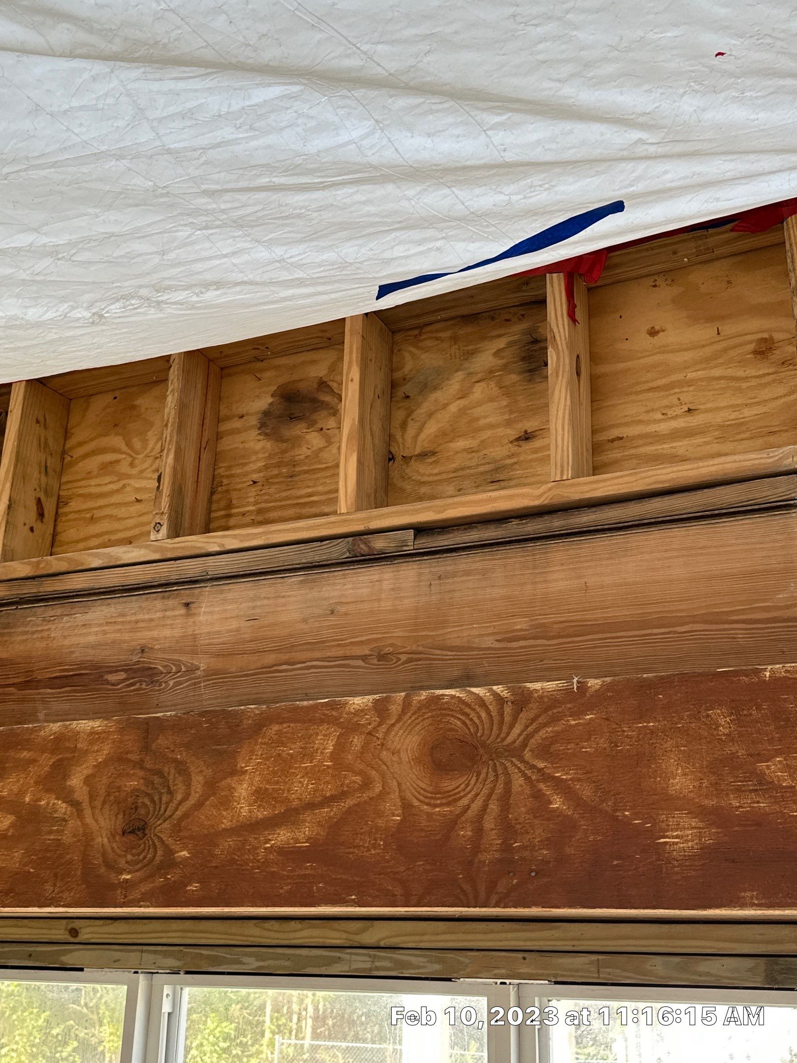 Mold Assessment for a home on Ft. Myers Beach by Building performance Solutions LLC