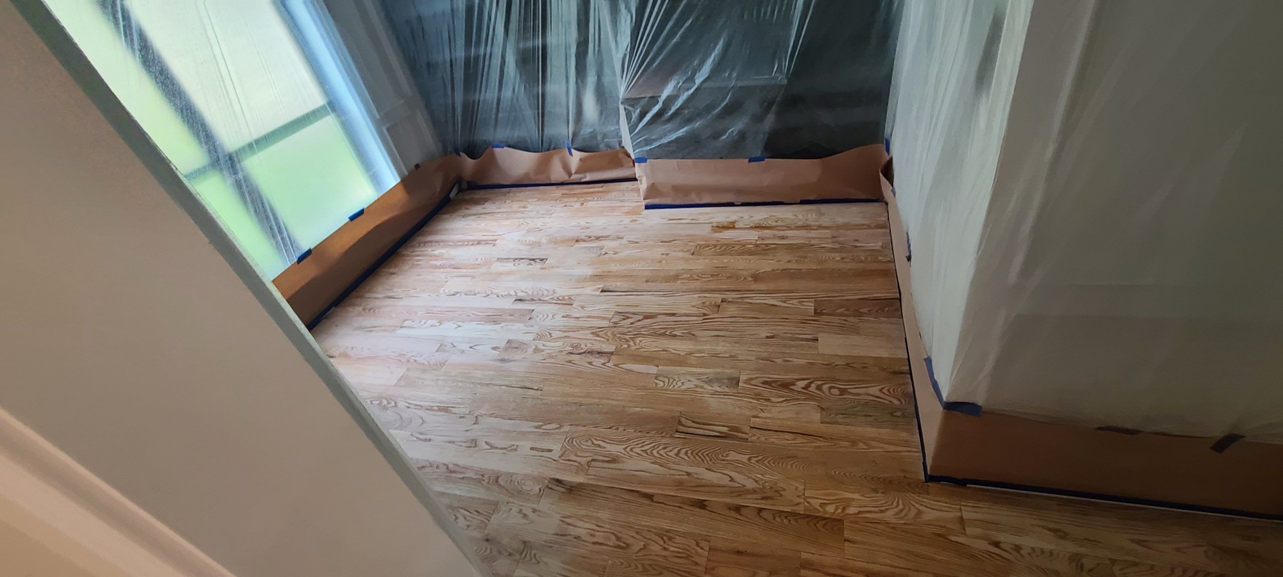 The Napolitano Family by SophAlx LLC