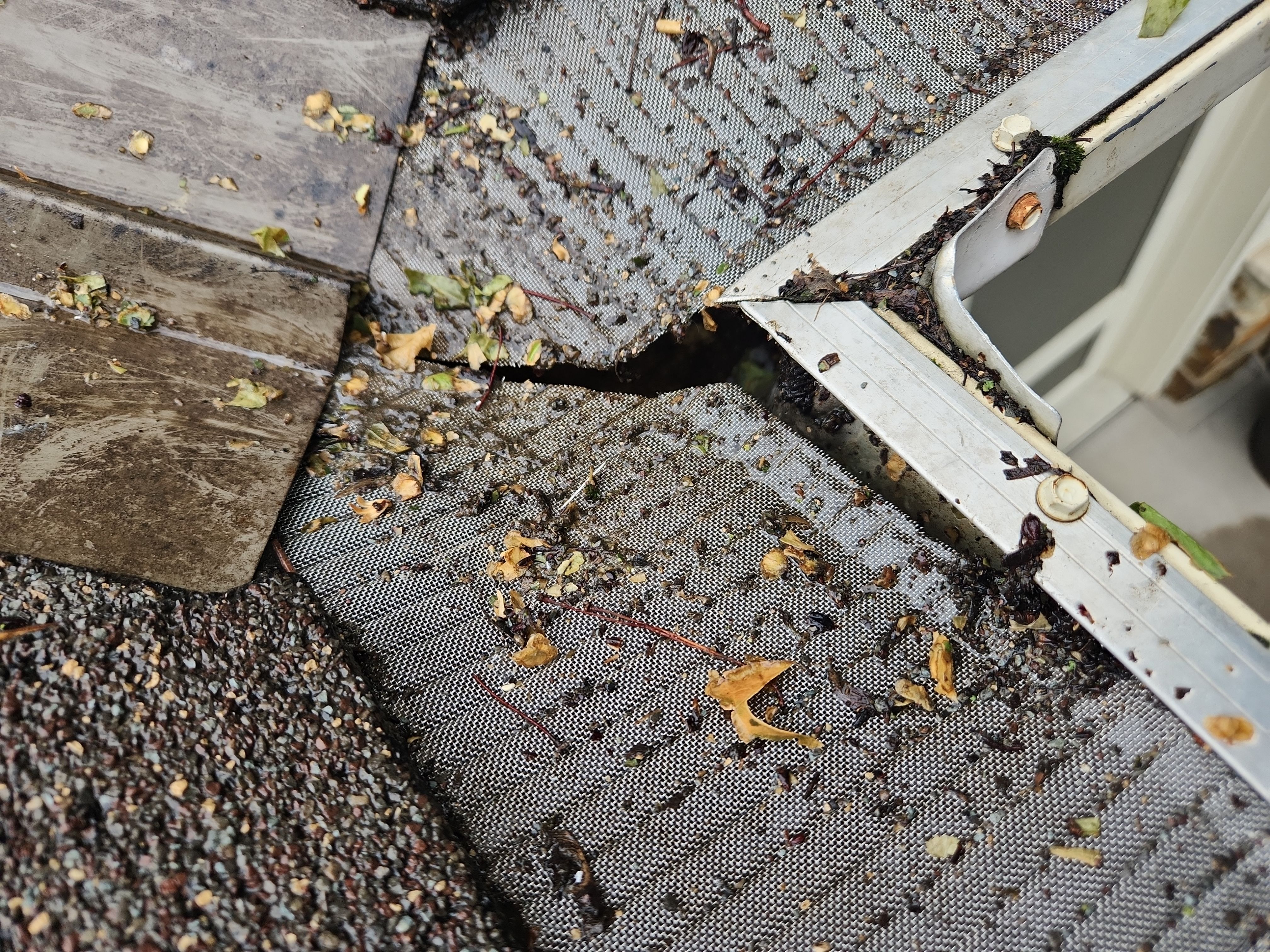 Leaf Blaster Pro Covers in Greenfield, MN by Next Level Seamless Gutters / Exteriors Inc.
