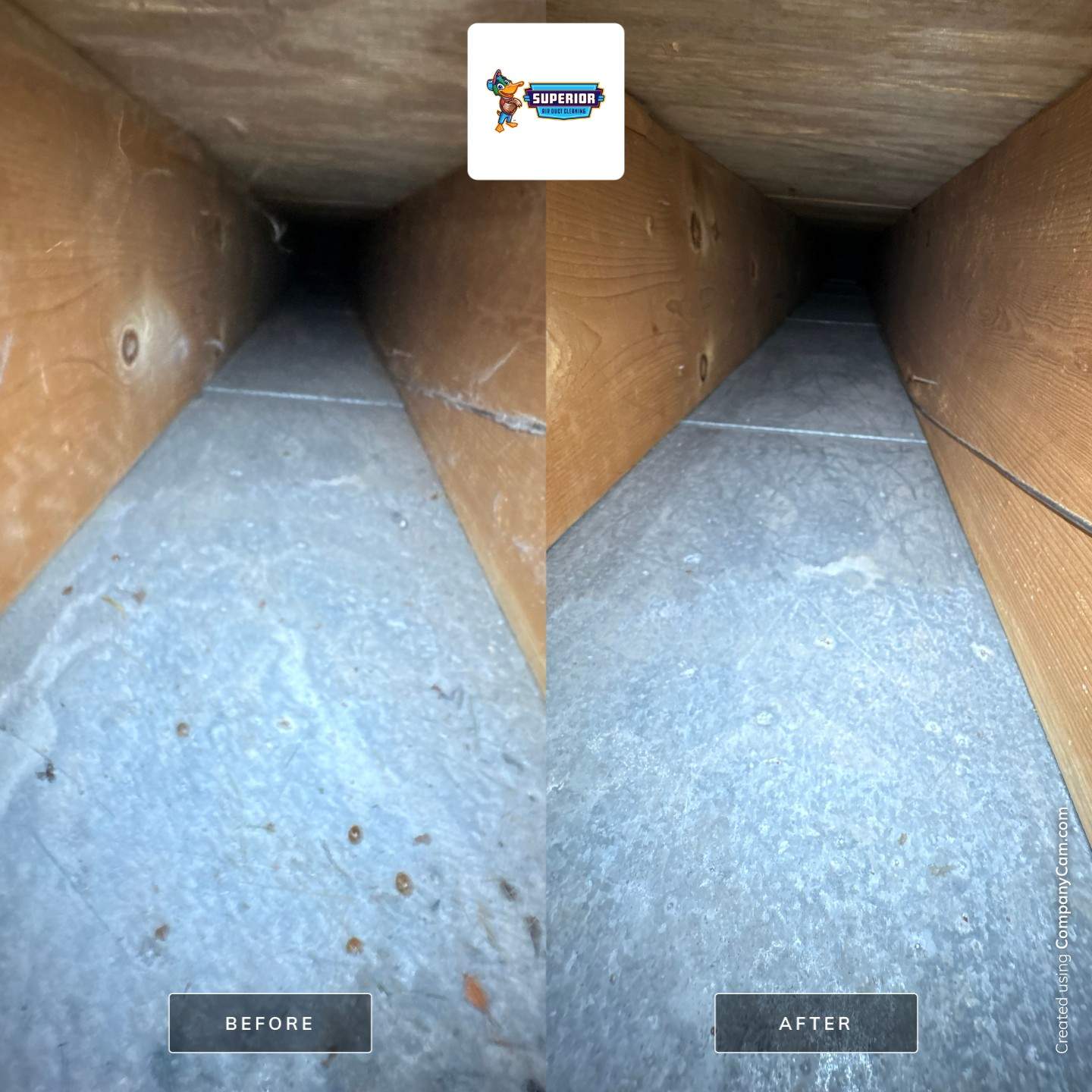 Comprehensive HVAC Air Duct System Cleaning for a Georgetown Home by Superior Air Duct Cleaning