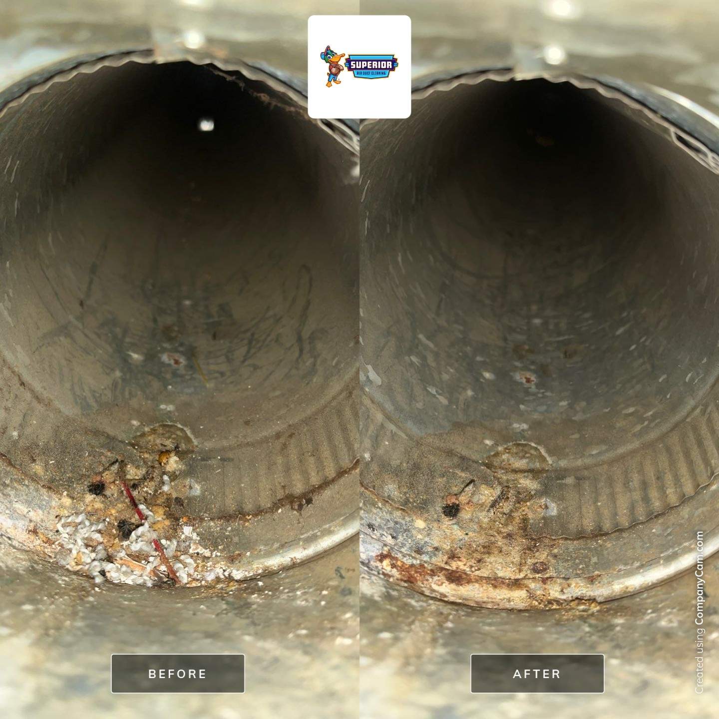 Air Duct Cleaning With a Vacuum Truck in Prospect, PA by Superior Air Duct Cleaning