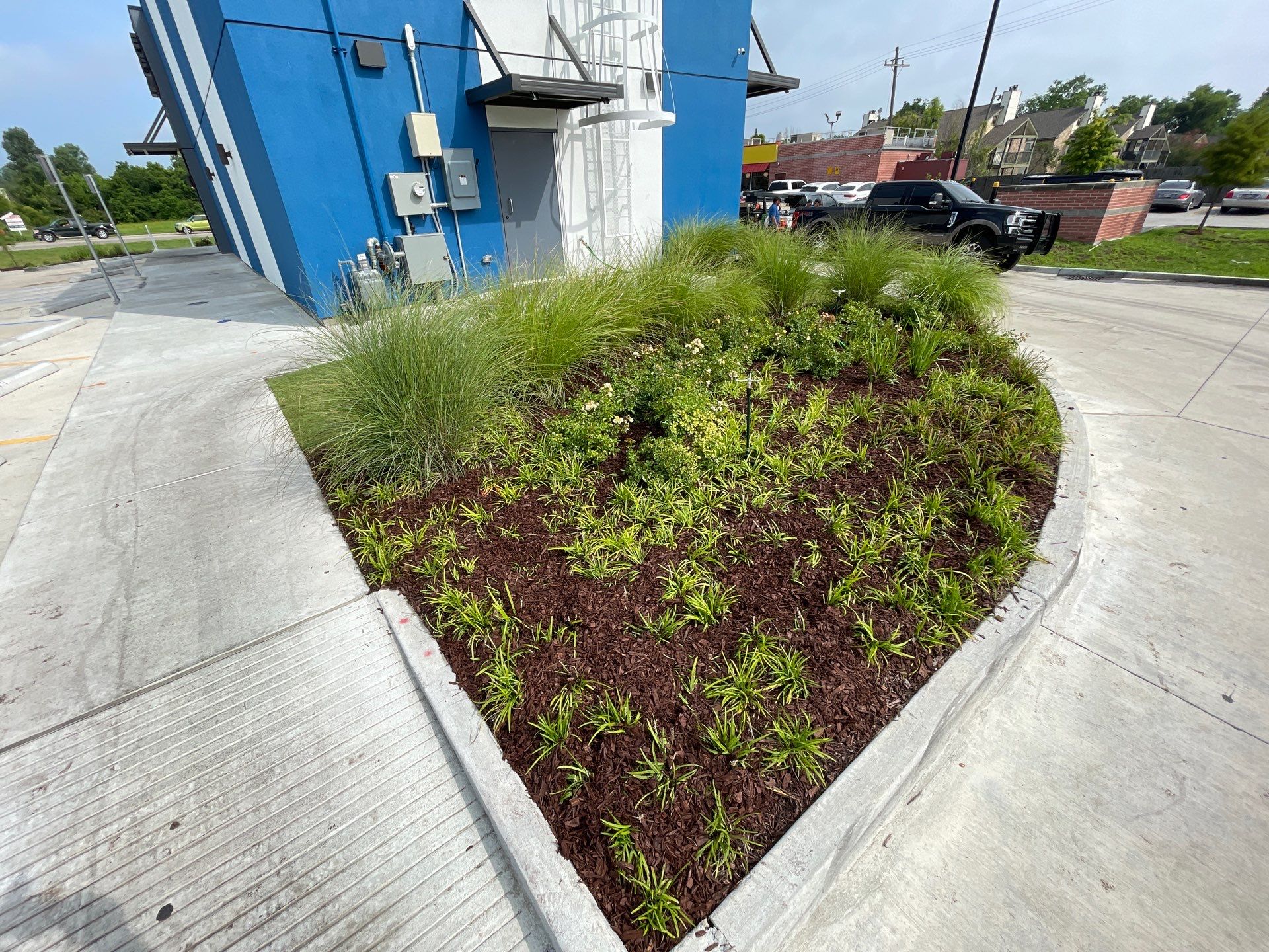 COMMERCIAL LAWN MAINTENANCE: HEDGE TRIM / BED CLEAN / MULCH INSTALL using BROWN MULCH "BARK BRITE" by CutScape, LLC.