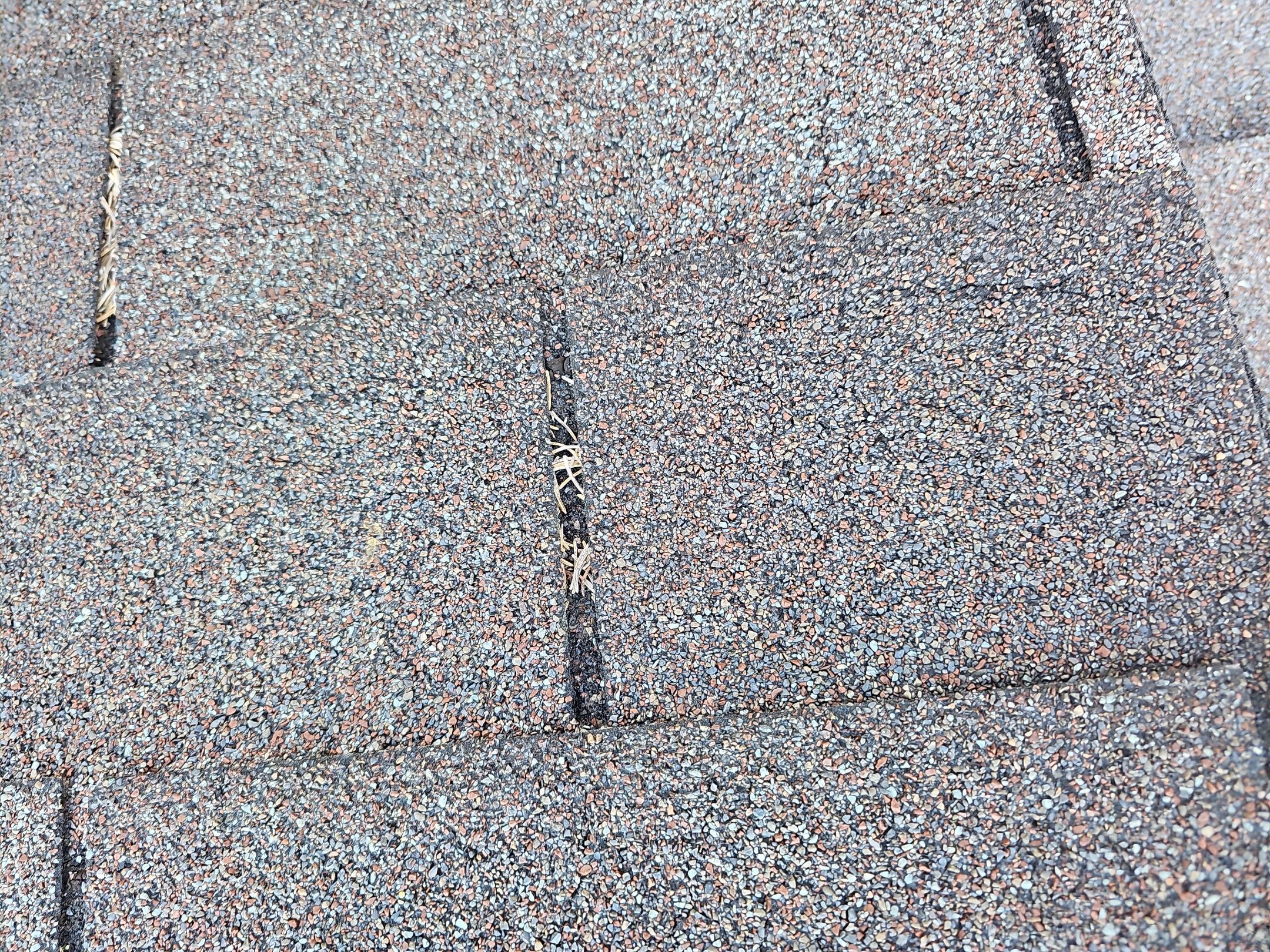 ATLAS PINNACLE COLOR: MORNING HARVEST by Eagle Eye Roofing