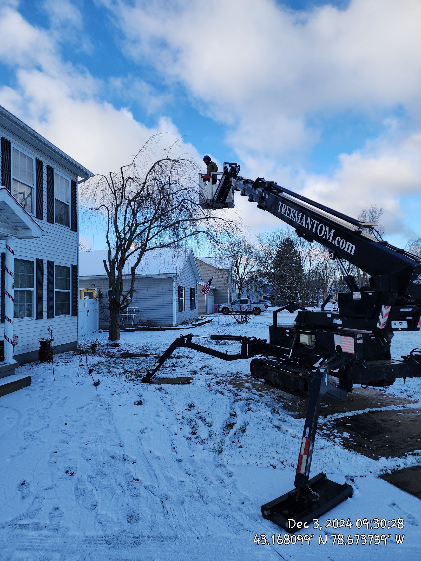 Prune with PHC by Treeman Tom LLC