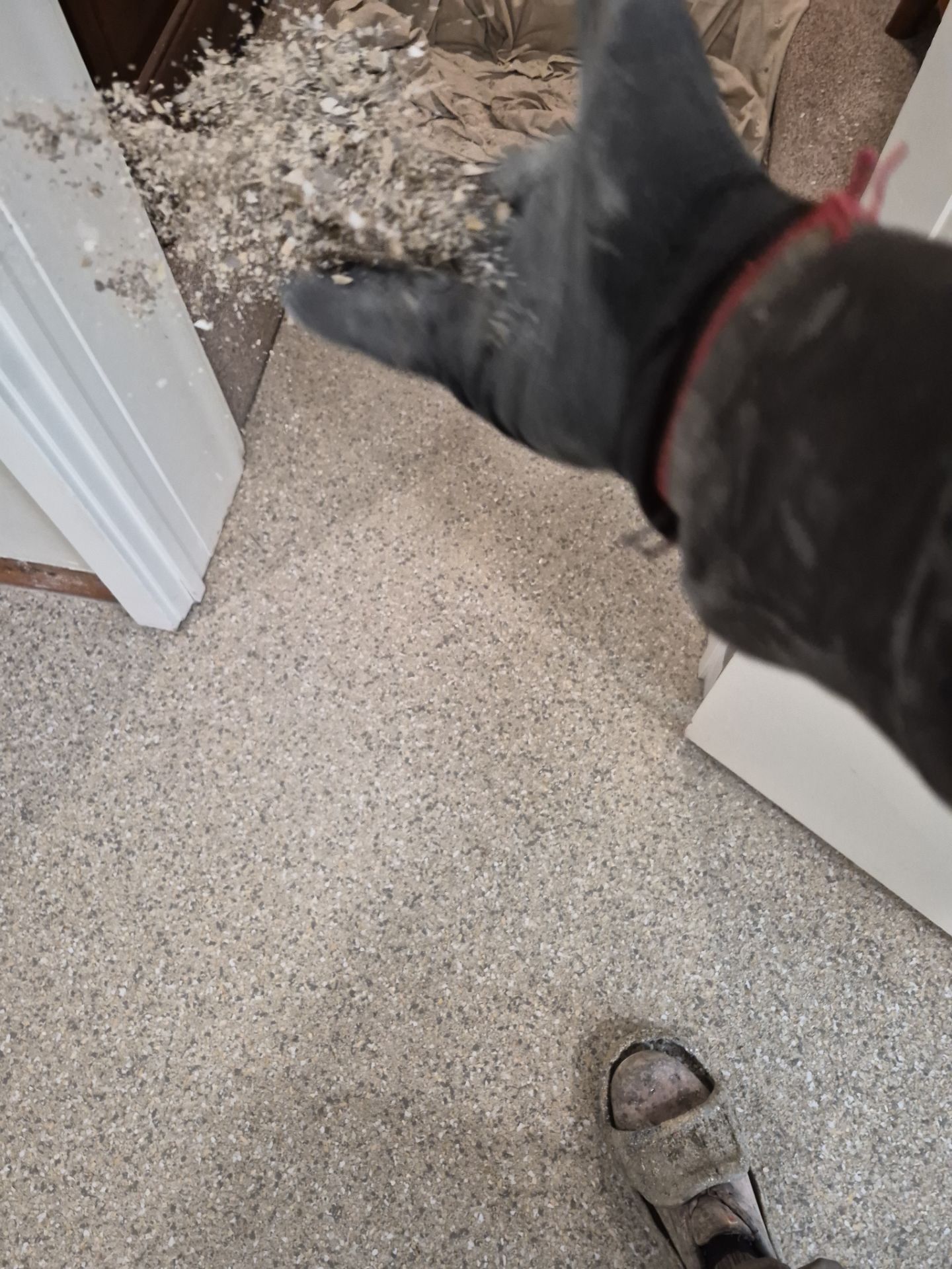 Santa Fe Hybrid Basement Floor Transformation in Moscow, Idaho by Croc Coatings, LLC