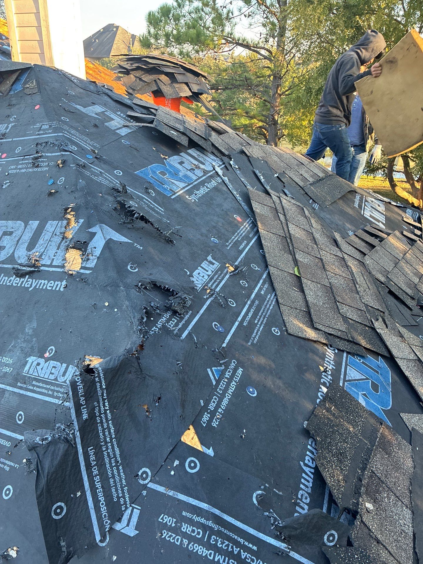 LYNA L by Boss Hogg Roofing