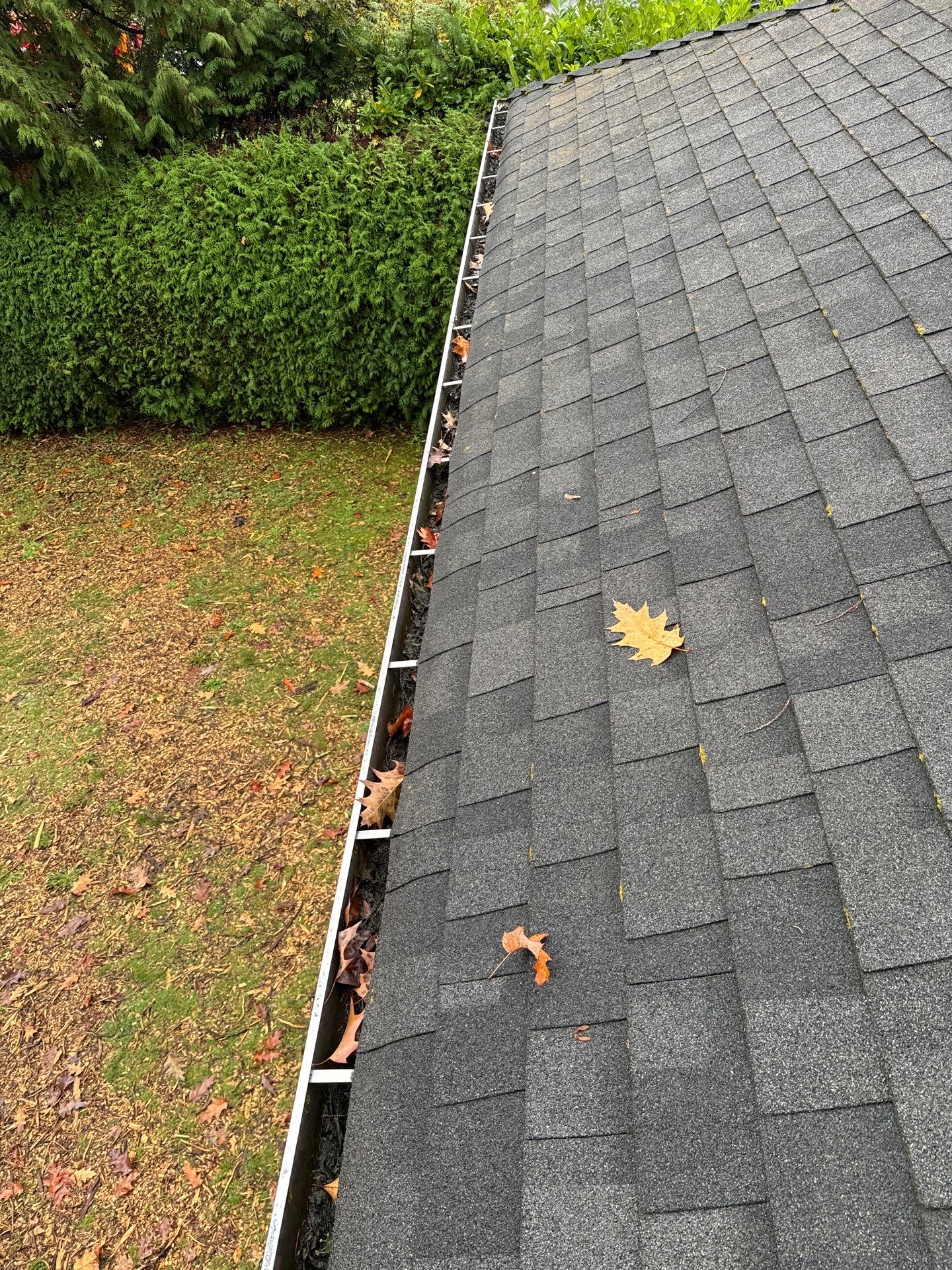 Gutter Cleaning- Taylor Way by YVR Construction Group