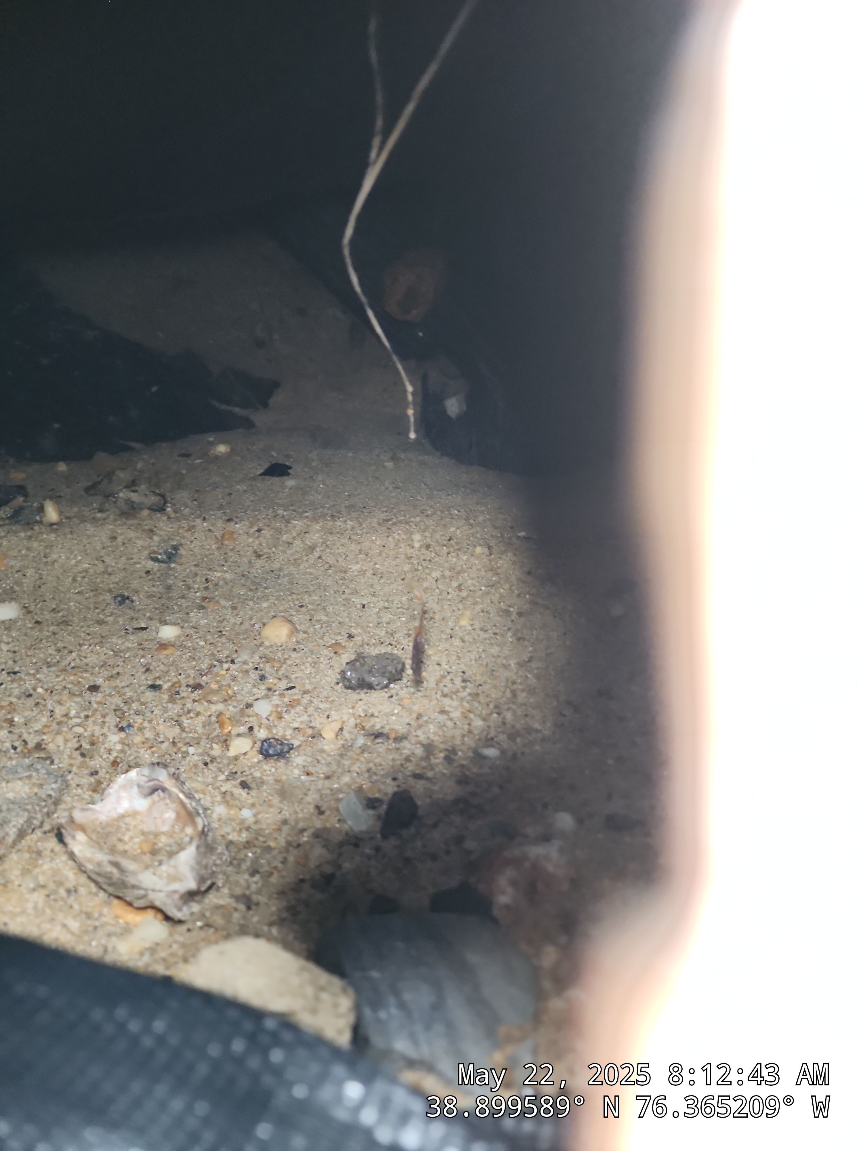 Stevensville Bulkhead Leak Sealing by East Coast Poly Solutions 