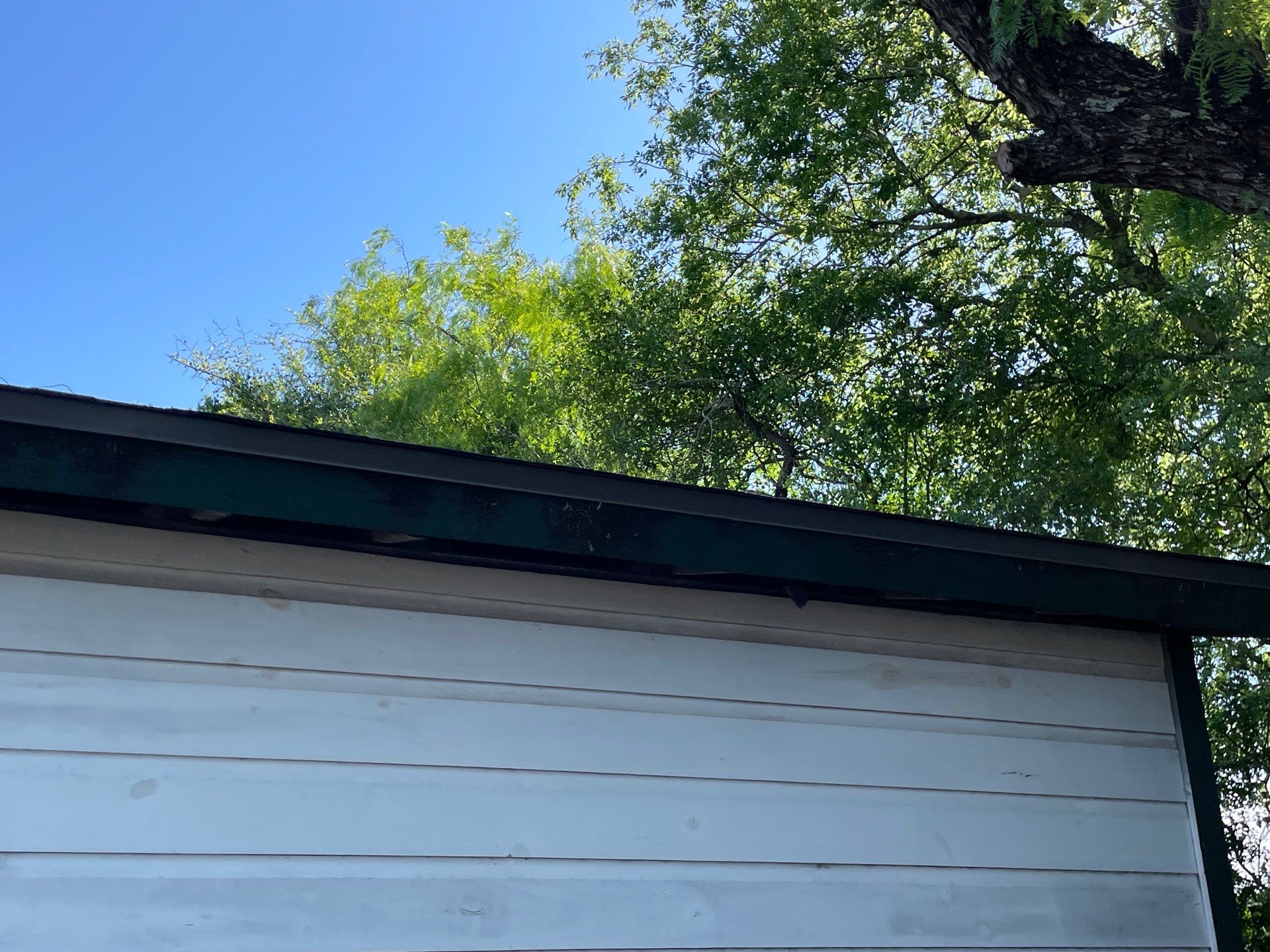 Alice Keeper by Bayfront Roofing and Construction