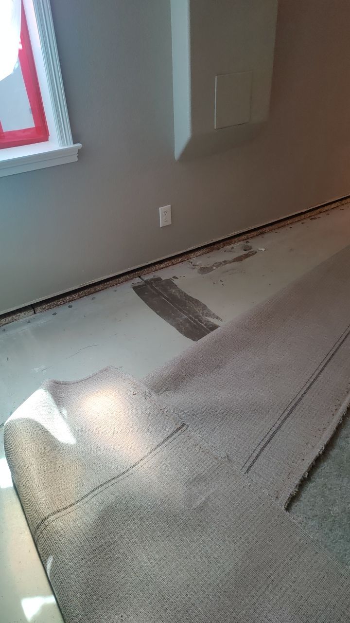 Mold Remediation  by Accountable Home Services