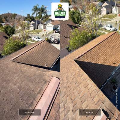 Shingle Roof Cleaning