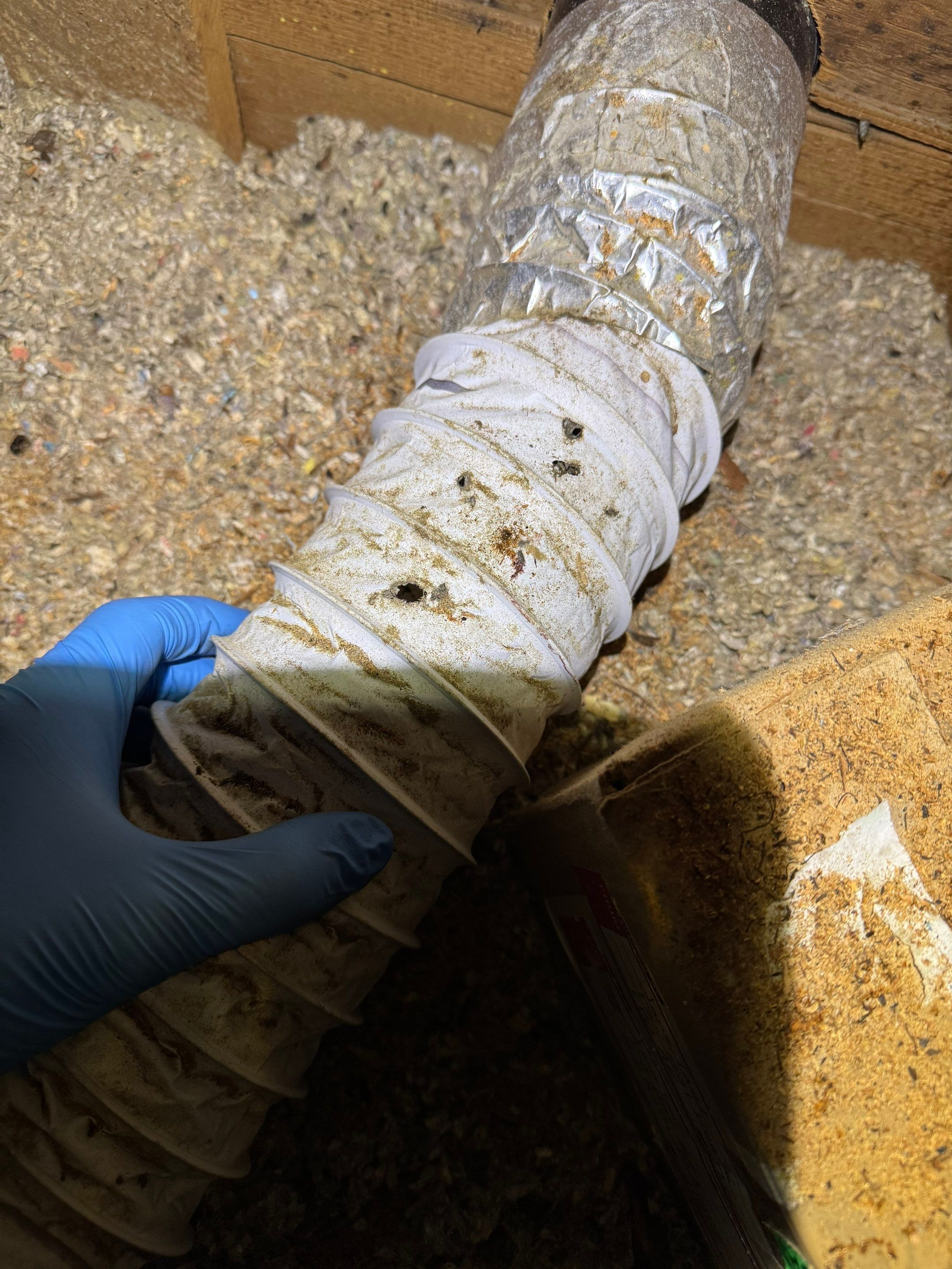 Mill River MA Remediation by Home Guarantee, LLC