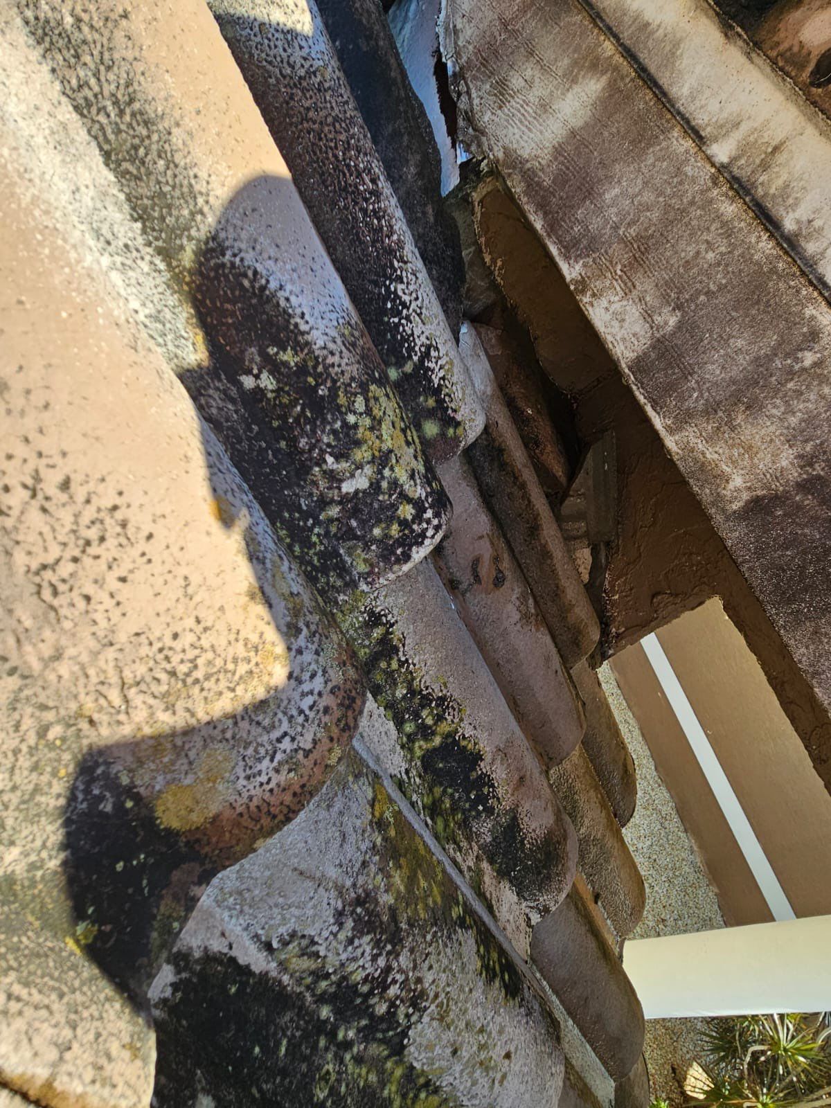 Residential Roofing Inspection  by Four Peaks Roofing