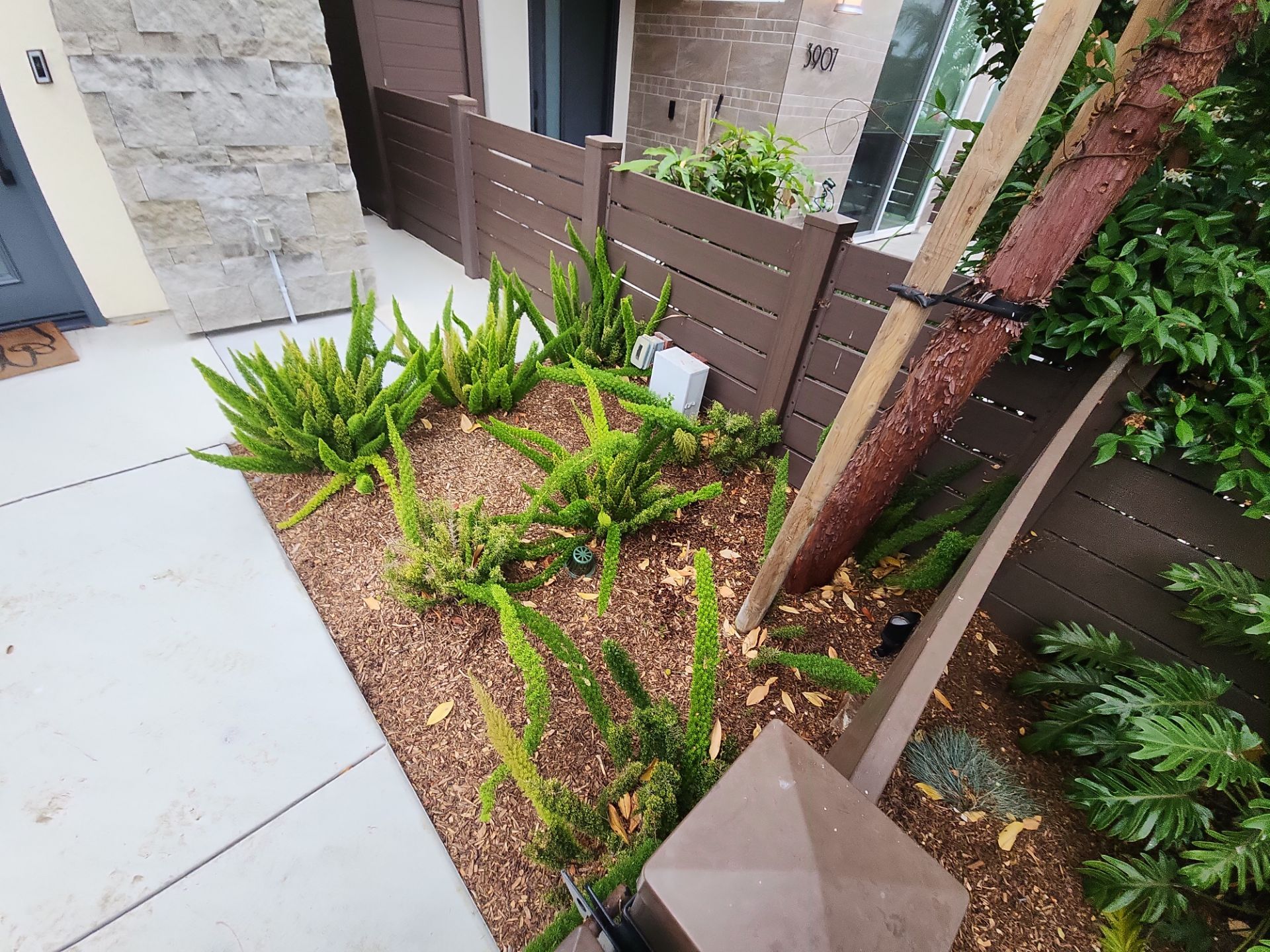 Modern Residential Landscaping in San Diego by Yard Techs