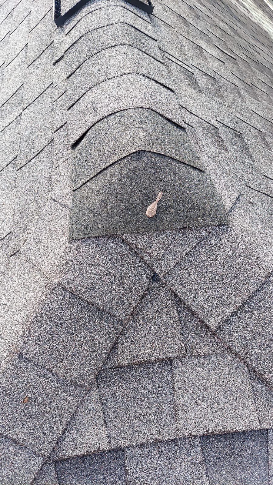 Residential Roofing Repair using Owen's Corning Duration (Lifetime) Shingles by Roof Repair Services LLC
