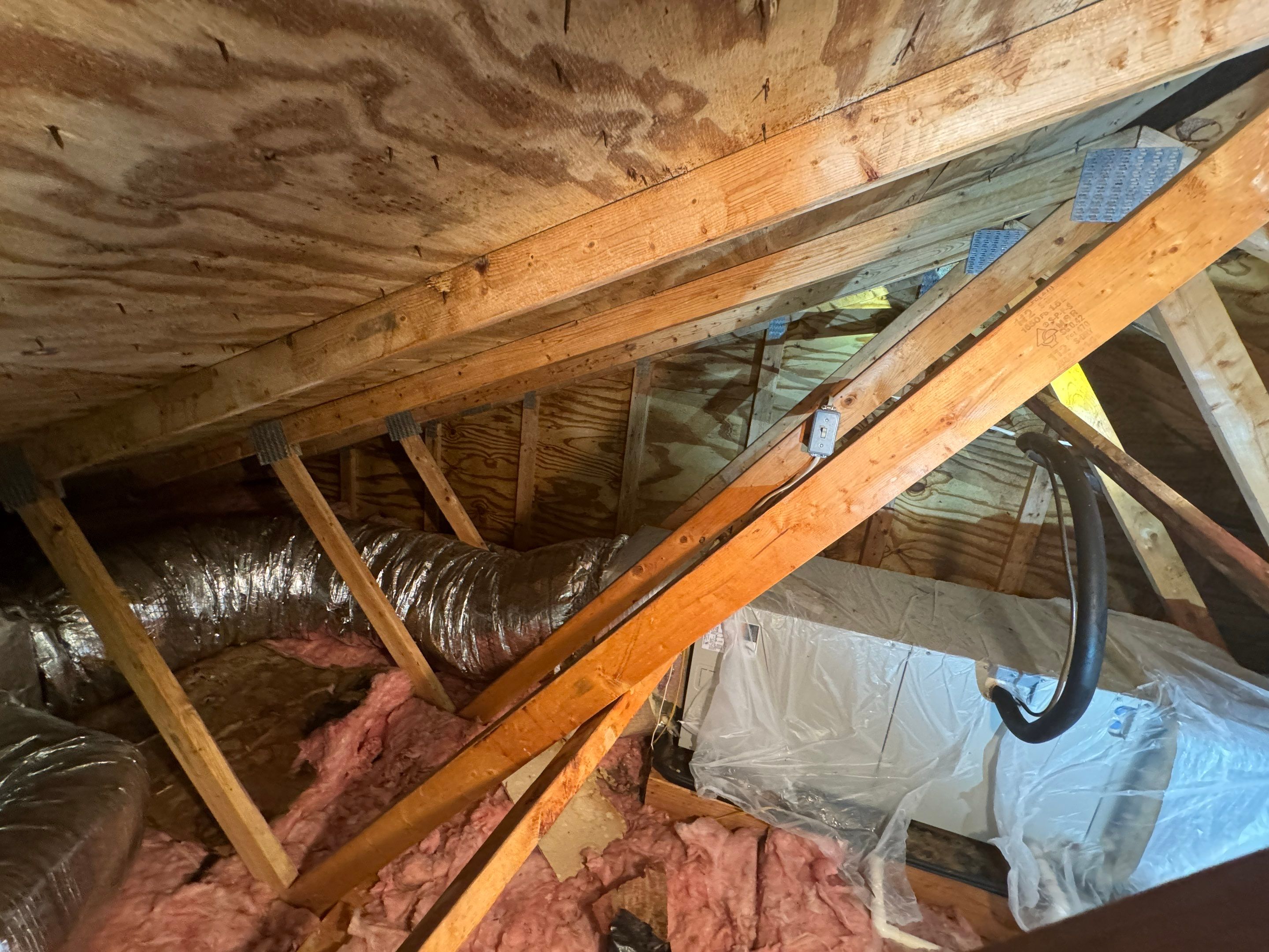 Attic Mold Remediation by Home Guarantee, LLC