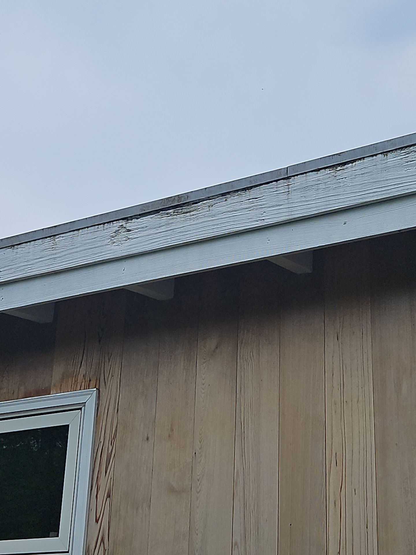 Gutters | Lunenburg by Mighty Dog Roofing of Greater Middlesex County